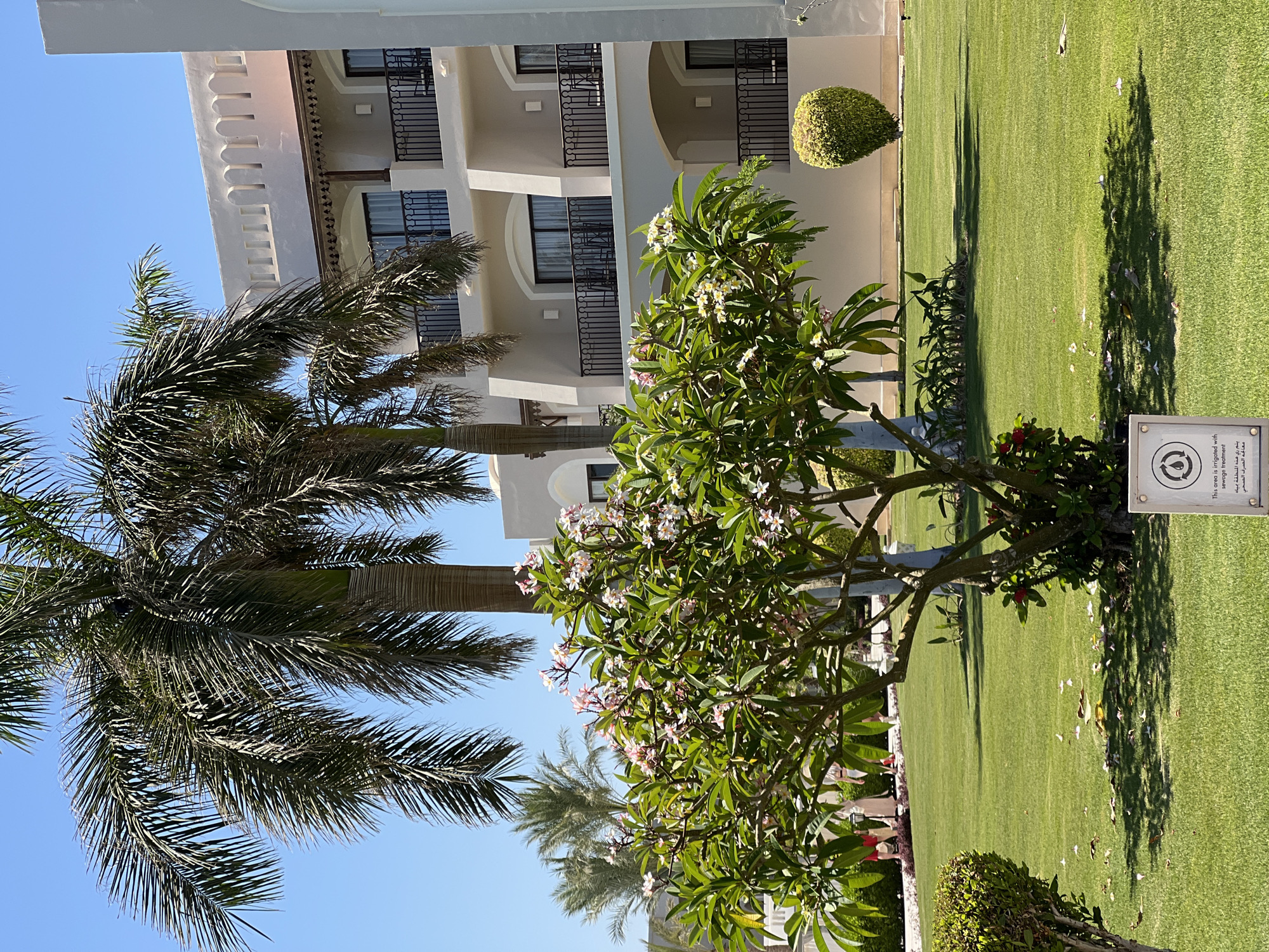 Strolling the grounds of a Red Sea resort on a sunny morning