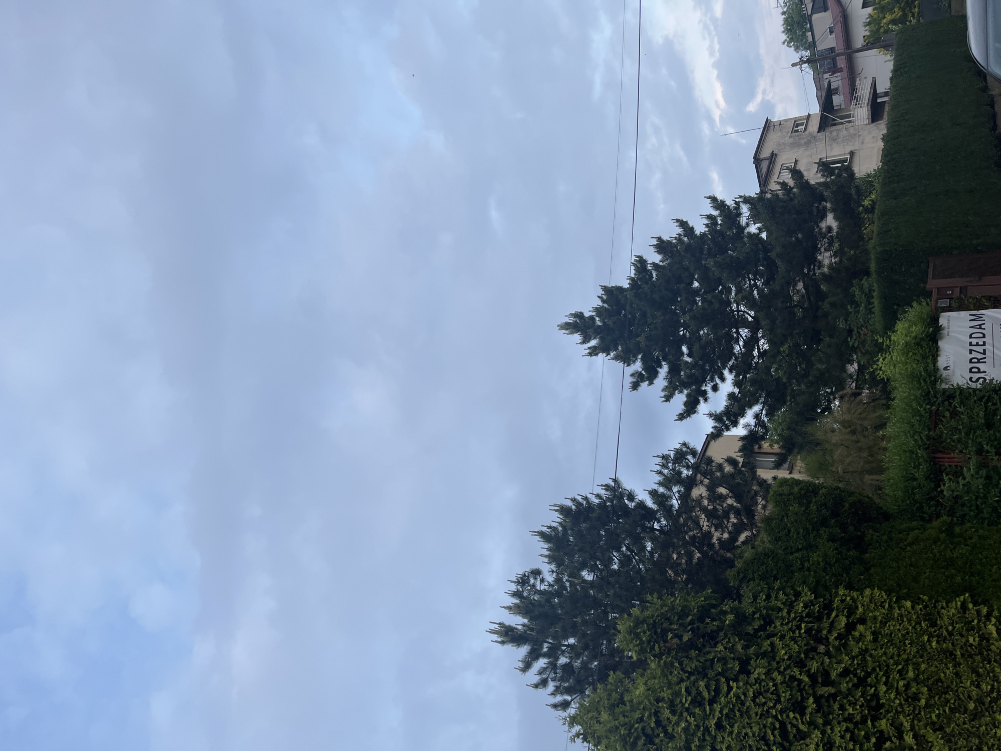 Witness documents suburban streets and gardens during cloudy afternoon