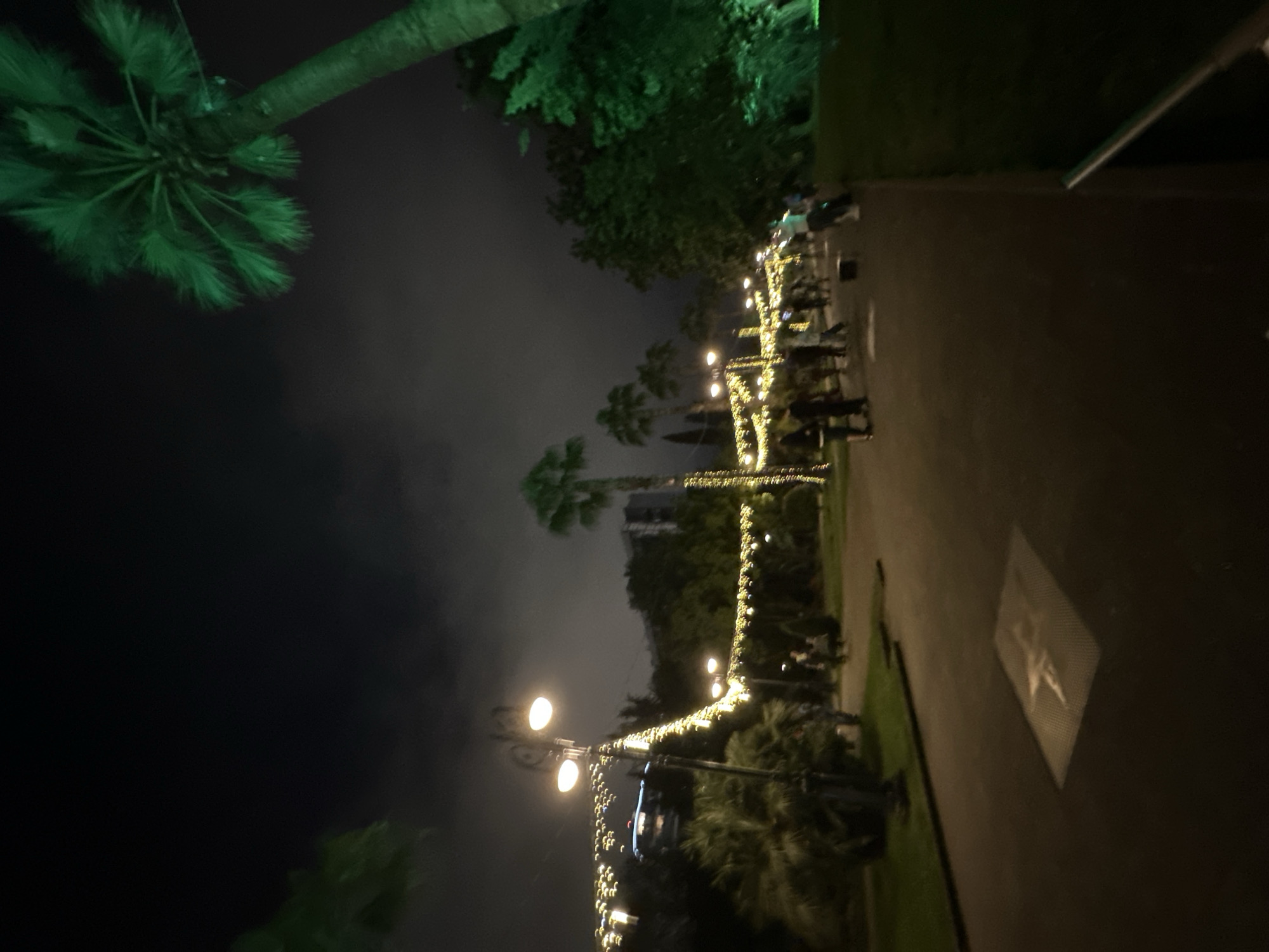 Evening scenes captured in Sochi: illuminated walkway, dog in car