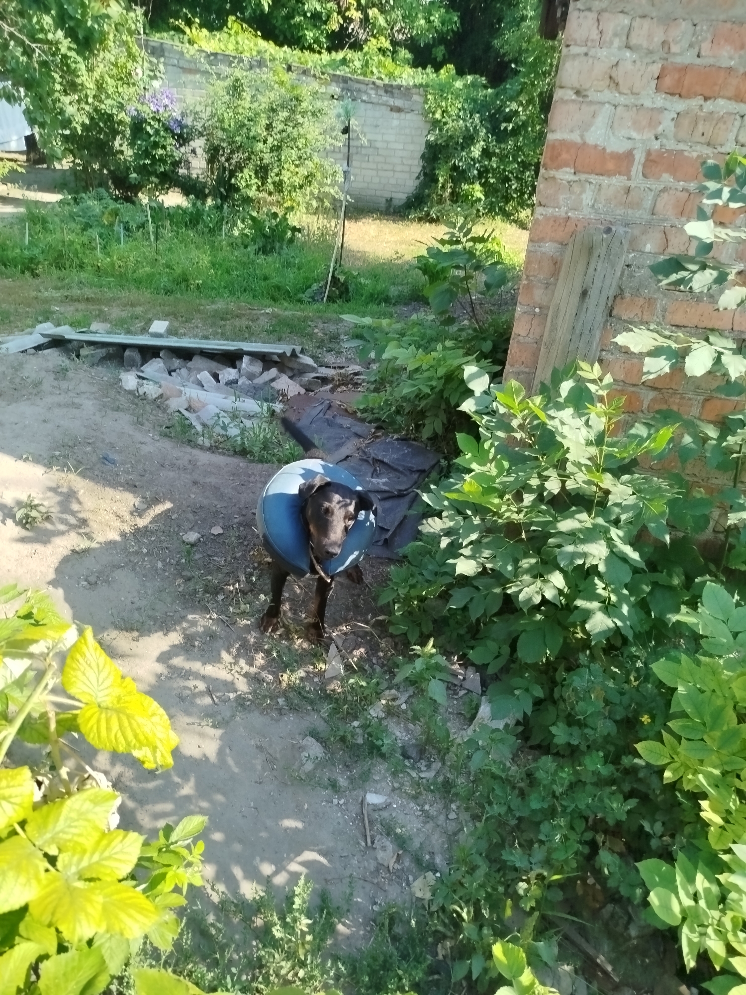 Pavlohrad, Ukraine
