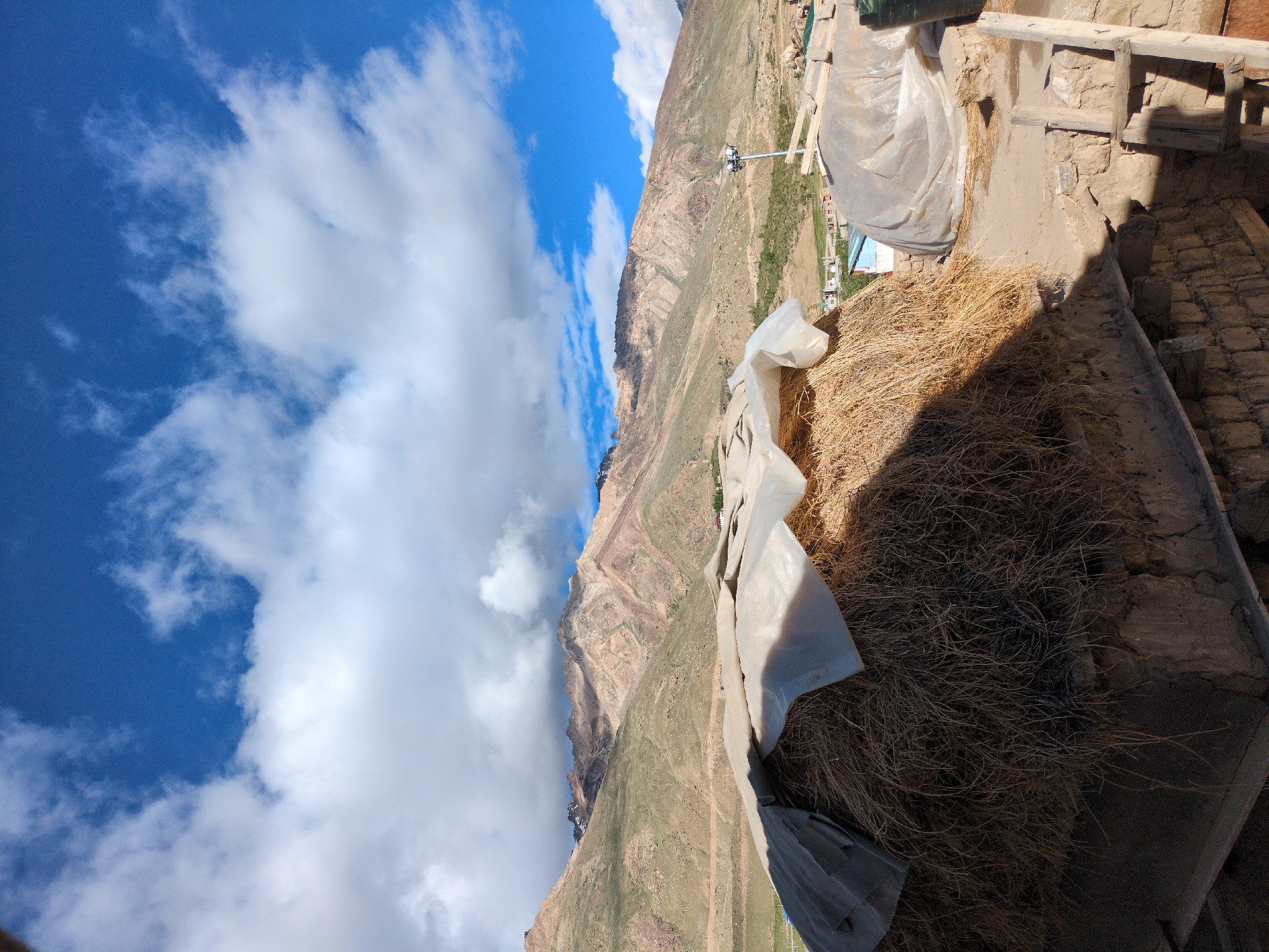 Stored hay and stone pathways in rural Padum, Ladakh