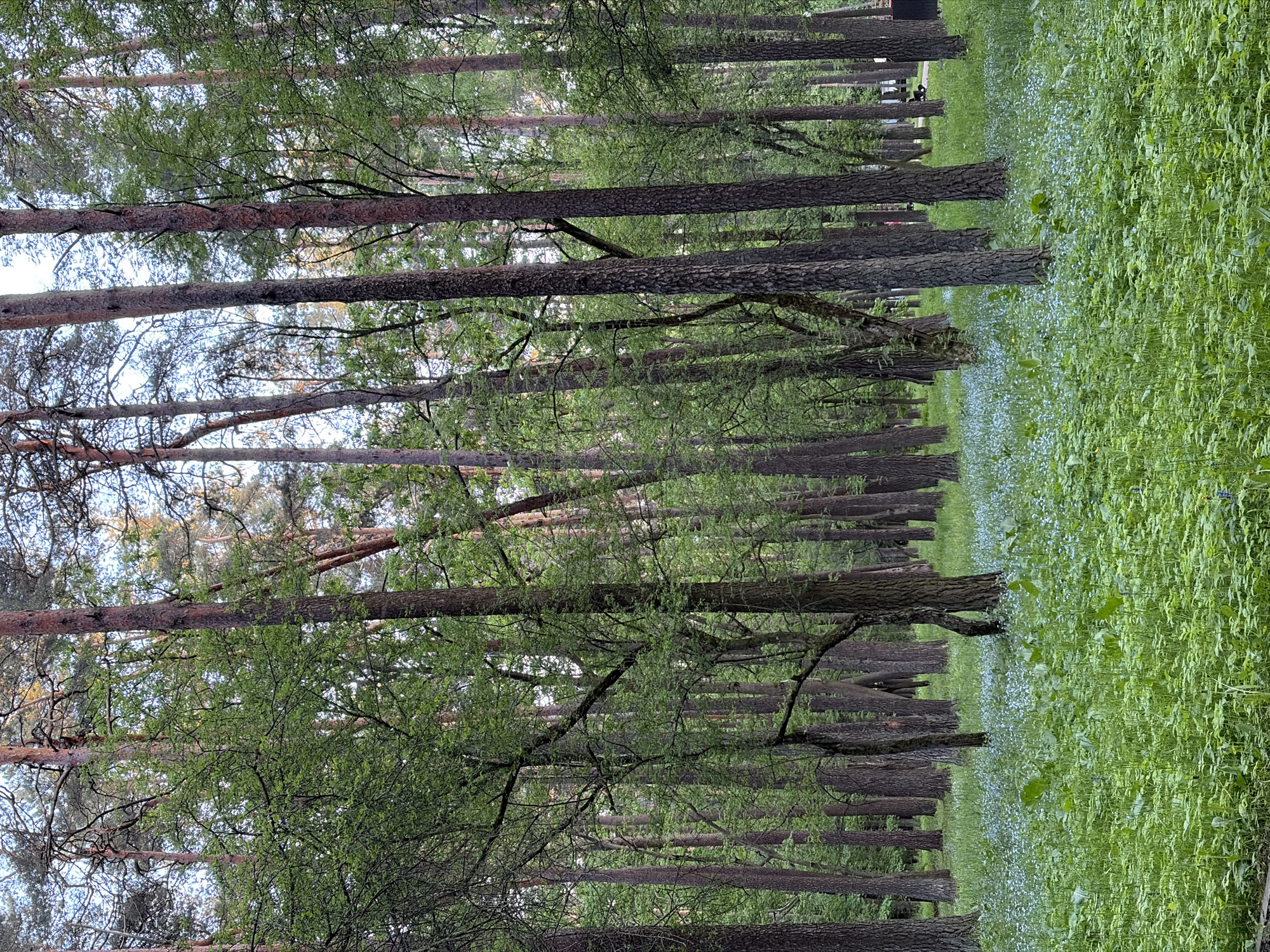 Casual documentation tour captures parks and landmarks across Minsk