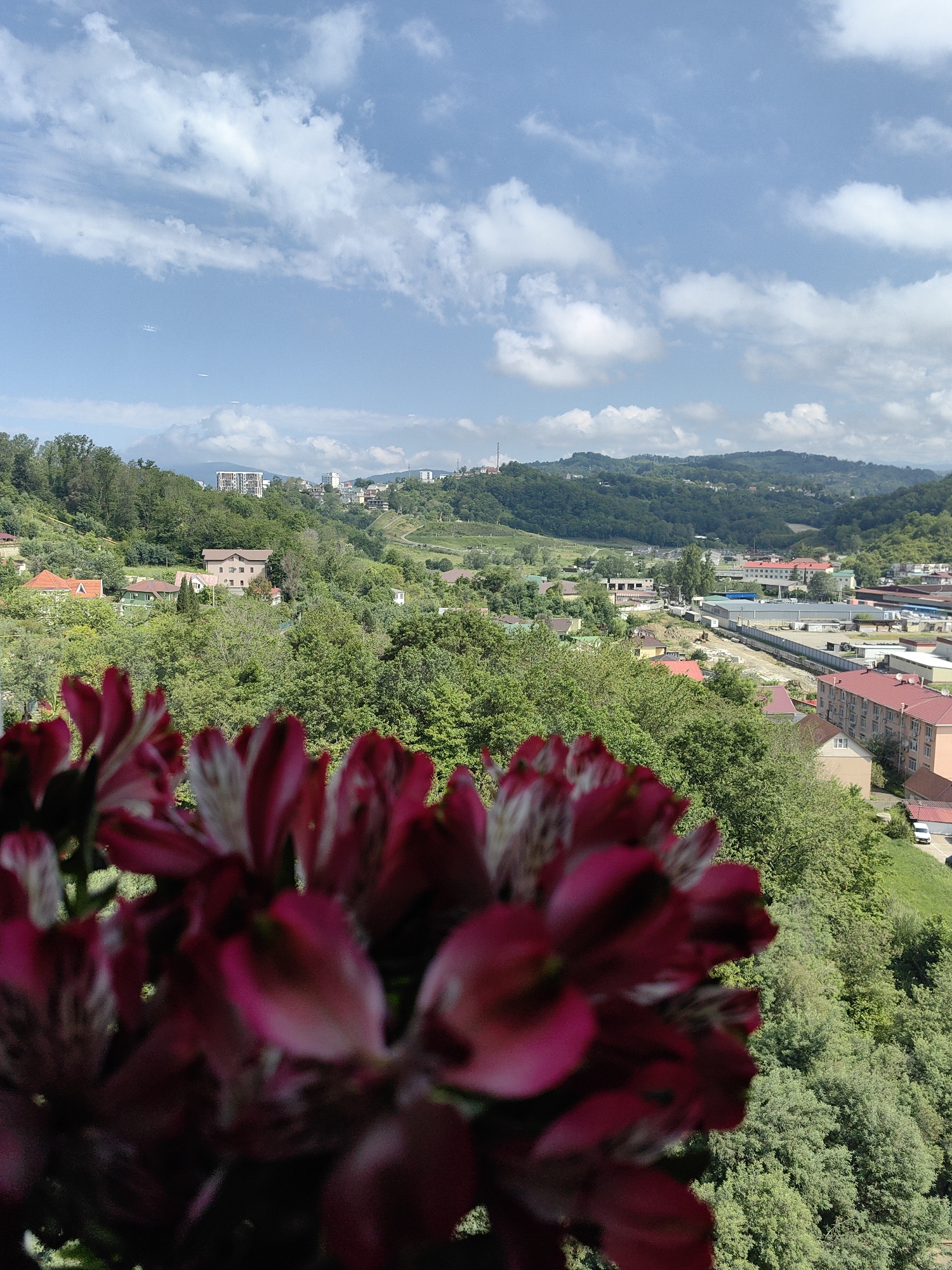Morning routine documented in Sochi with flowers and city views