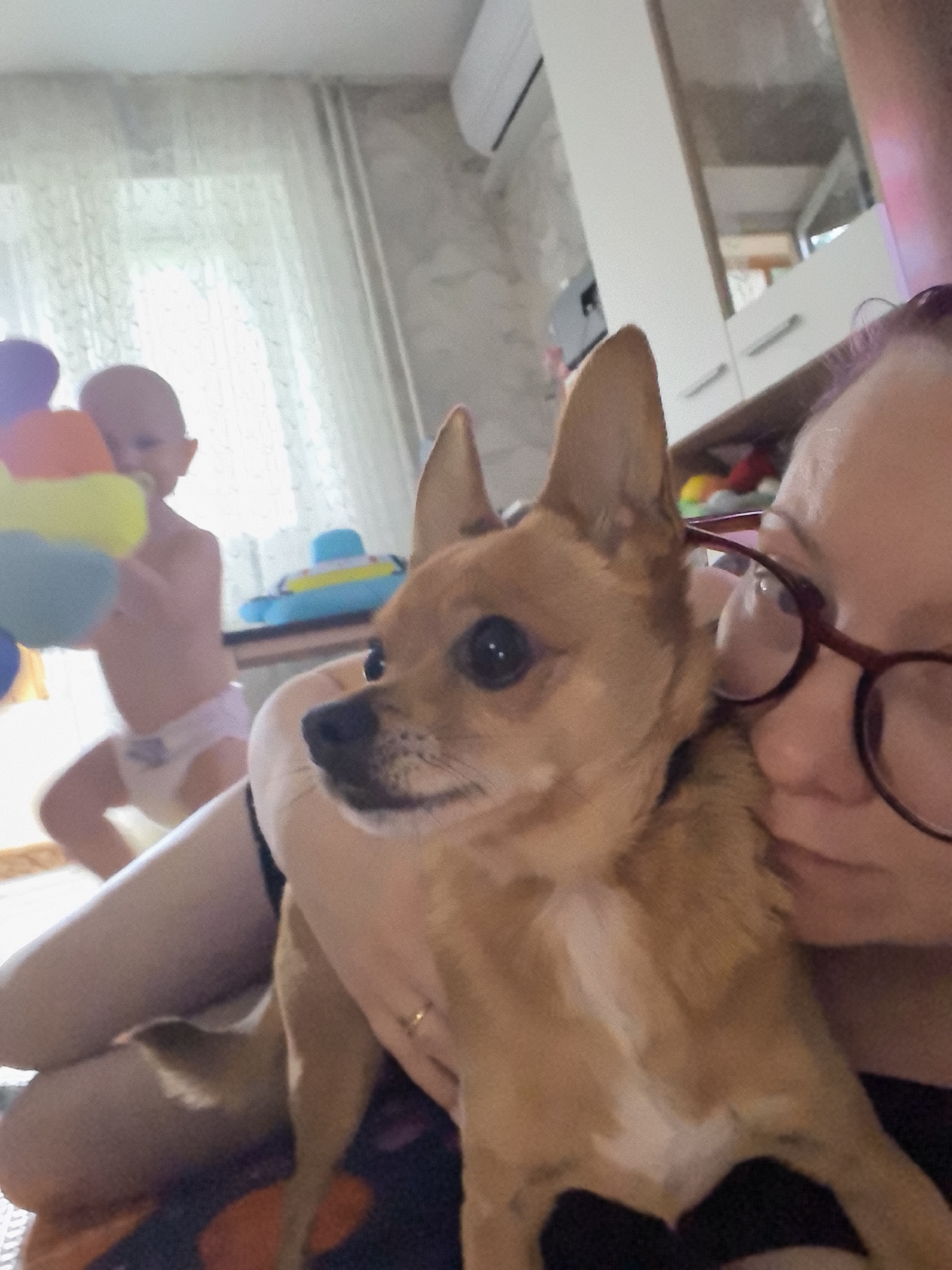 Lazy morning at home with pets and familiar faces