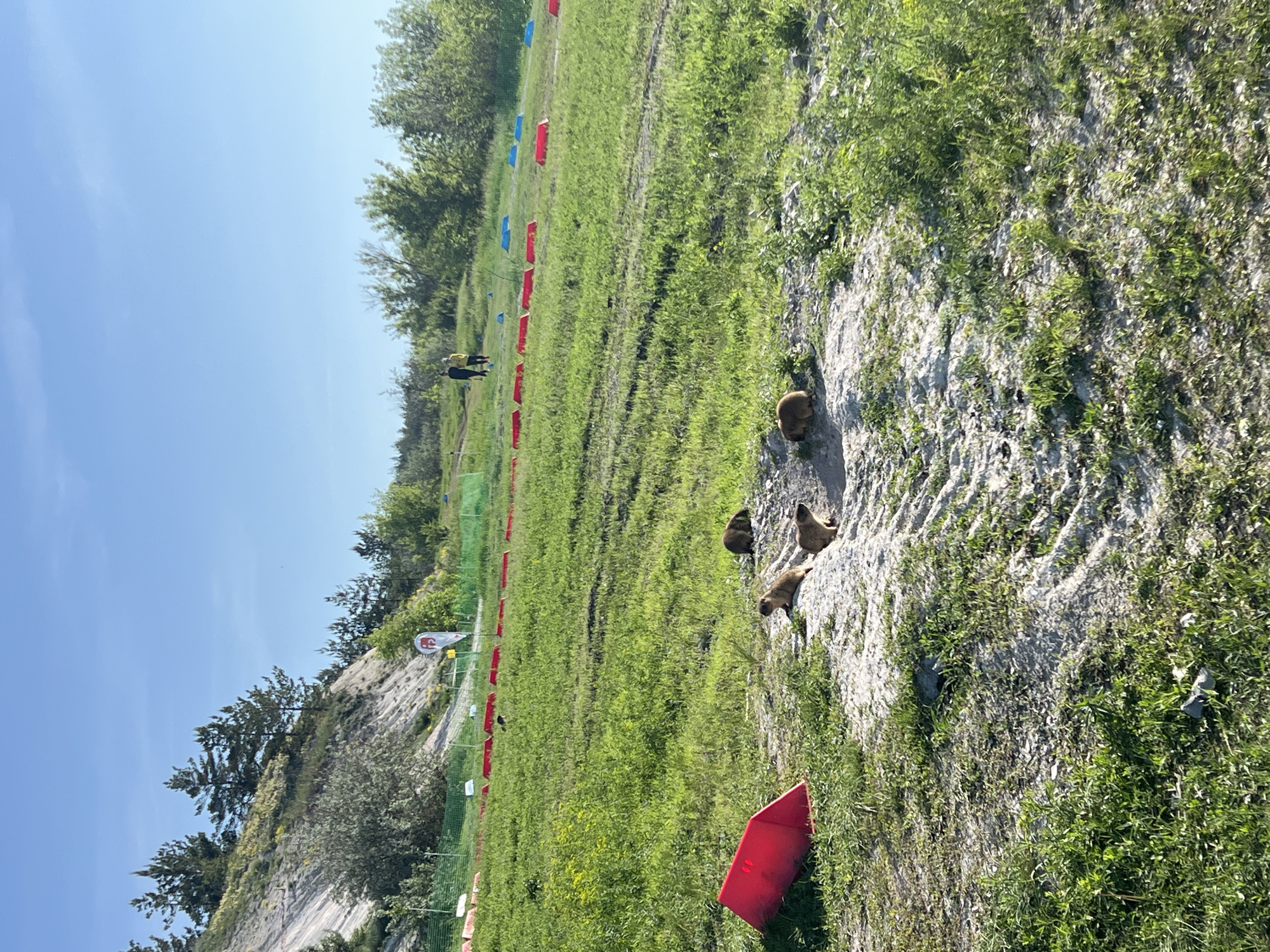 Early morning field activity with markers documented in Khvalynsk