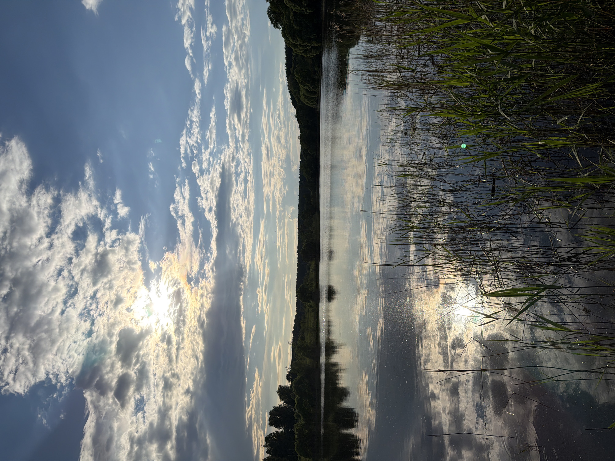 Afternoon scenes captured around Satino-Russkoe waterways and Moscow playground