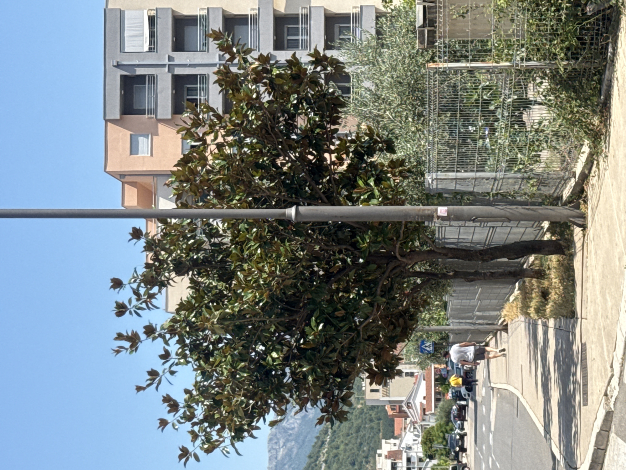 A busy afternoon across Budva's streets and construction sites