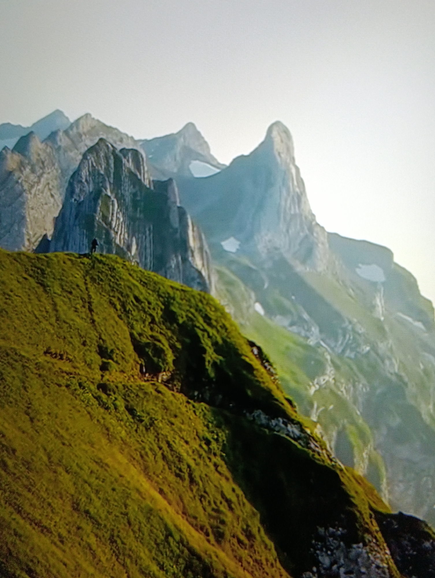 Global nature survey captures diverse landscapes and wildlife