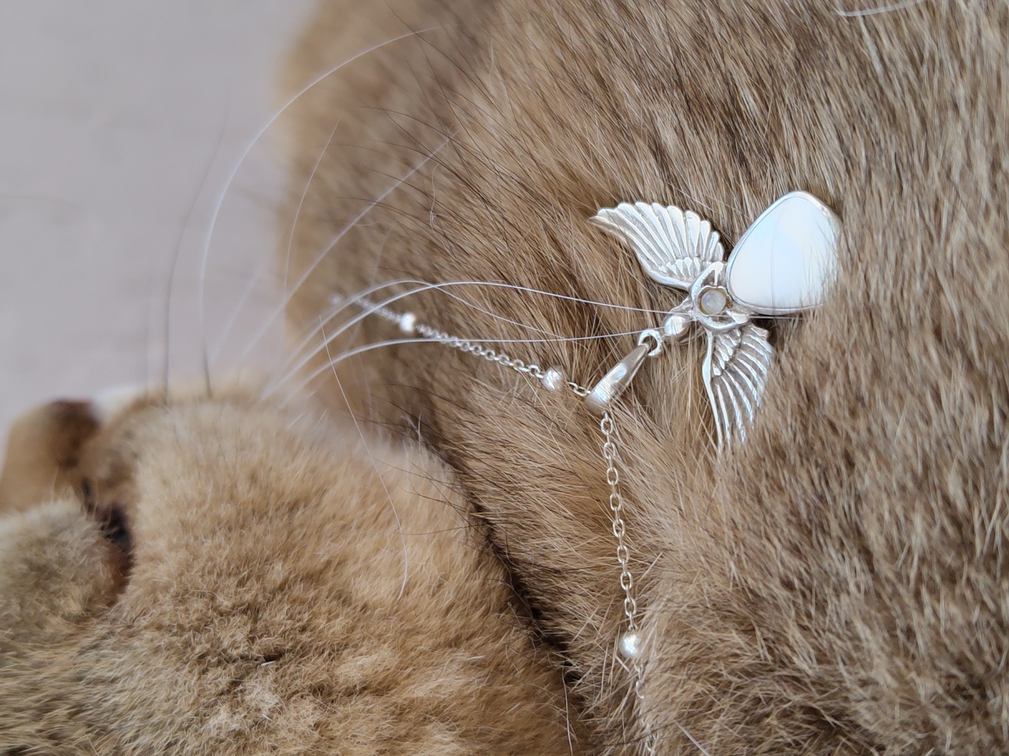 Angel pendant necklace resting on a cat's fur, Krasnodar