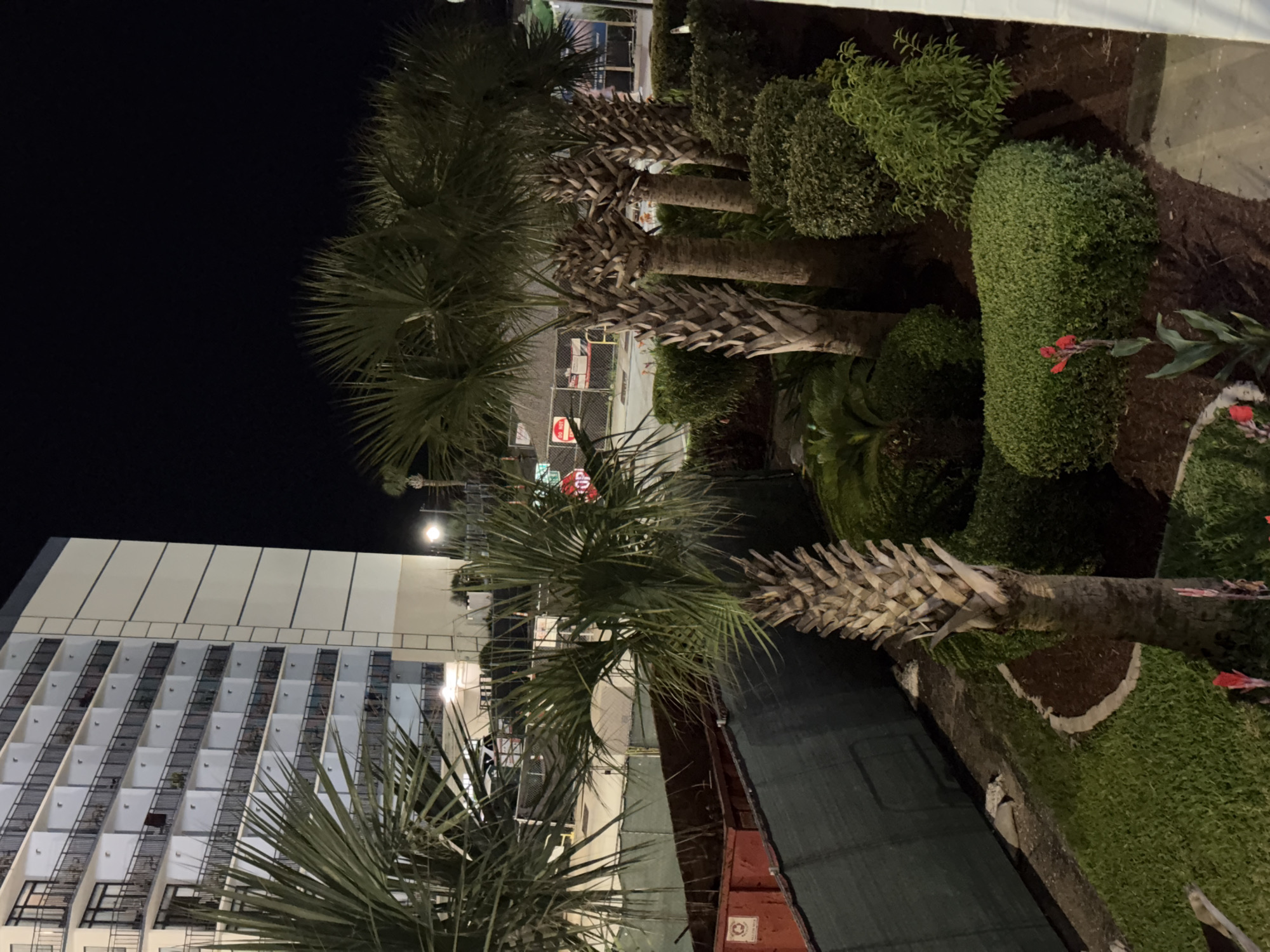 Late-night Myrtle Beach stop with kids and palm trees