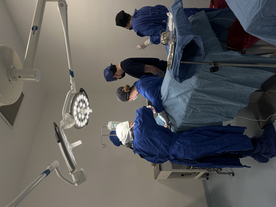 Medical staff perform surgery at Mexico City facility