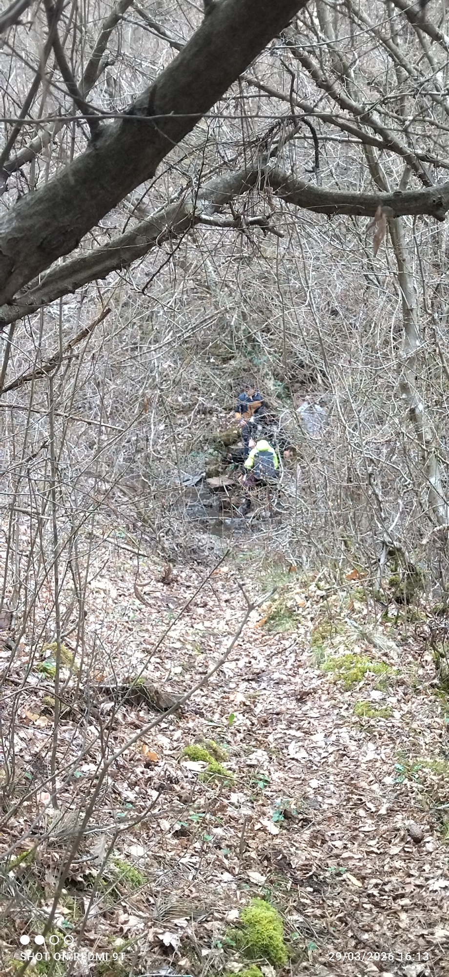 Family with children explores wooded stream in Sofia
