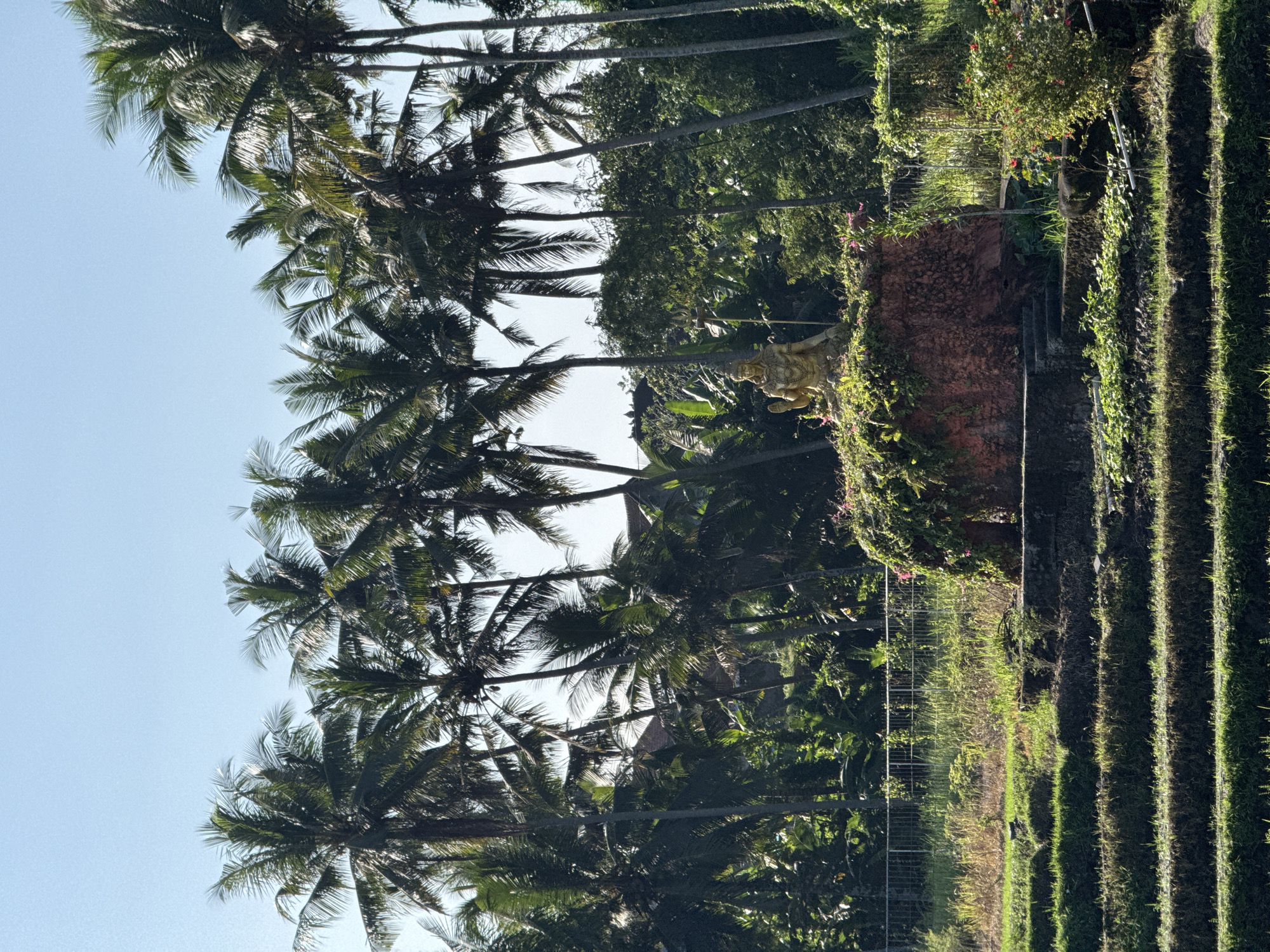 Tropical scenes documented in Ubud District, Indonesia