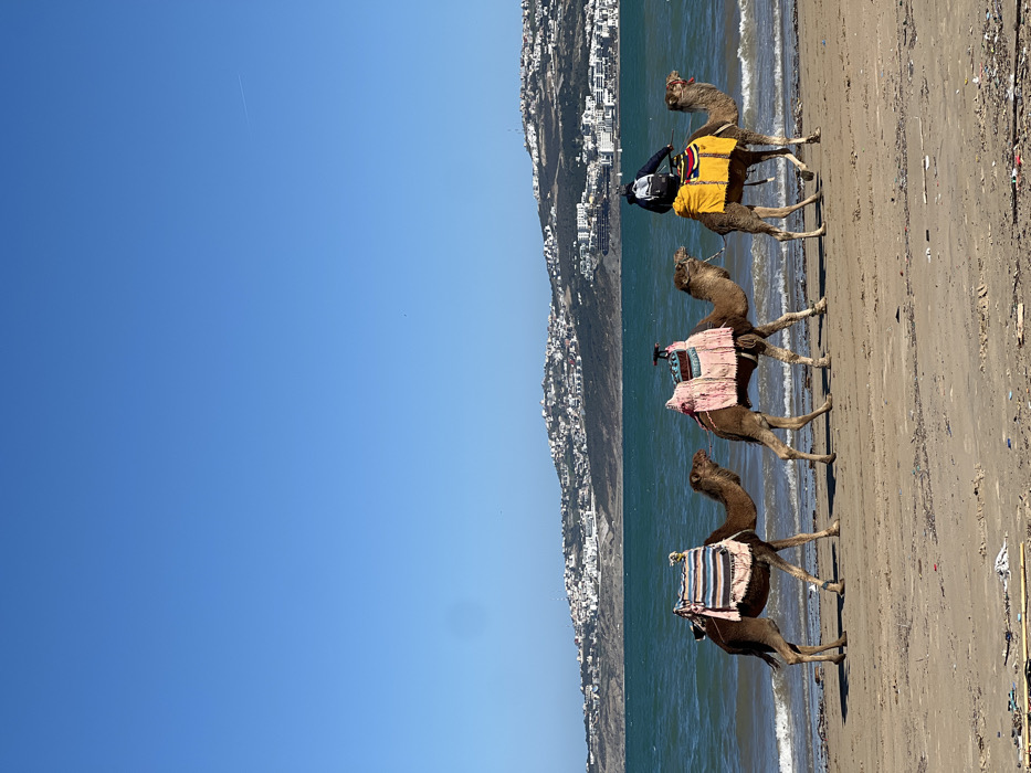 Tangier residents enjoy sunny afternoon at beach and streets