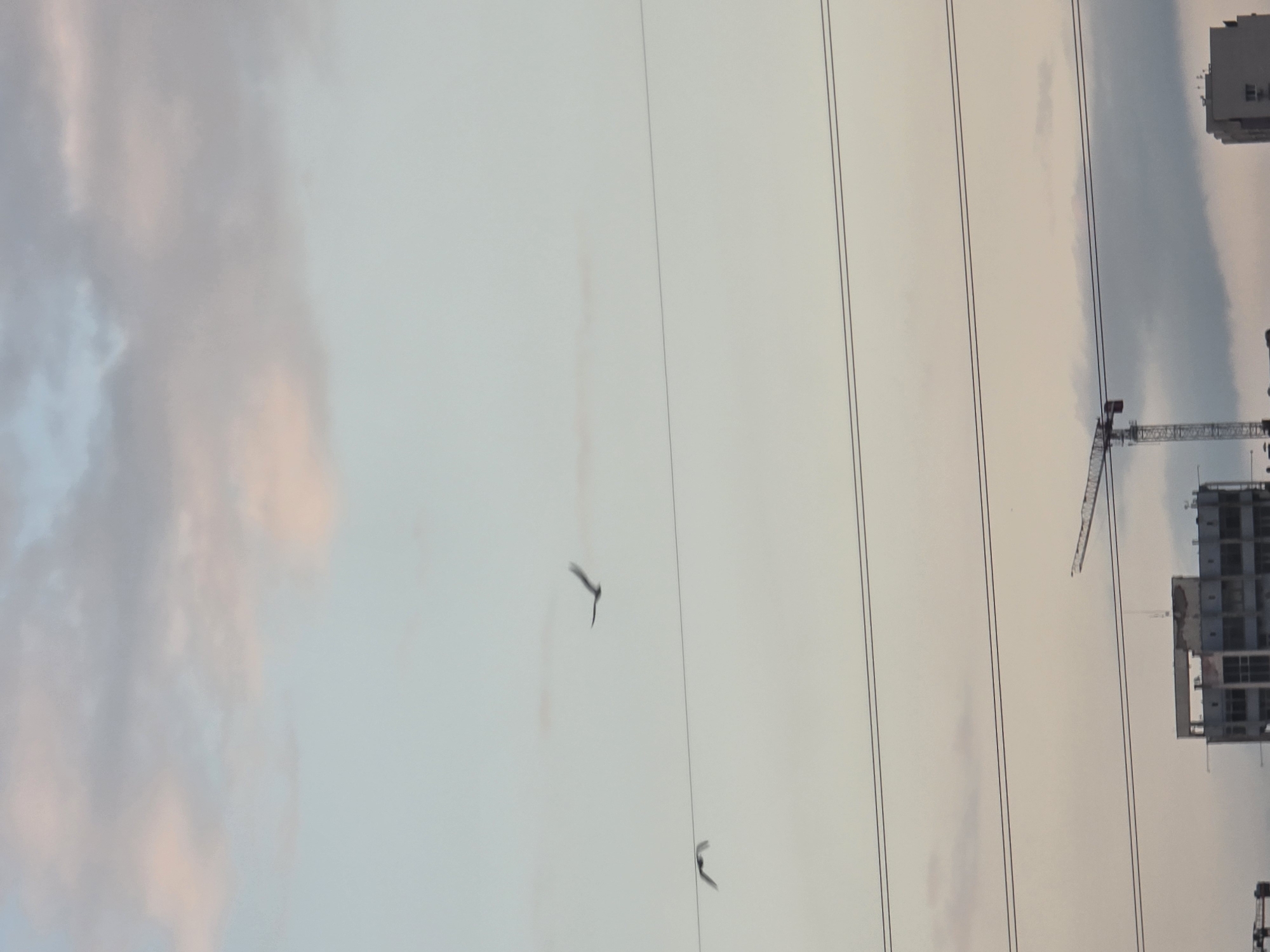 Industrial skyline observed during atmospheric conditions in Burgas, Bulgaria