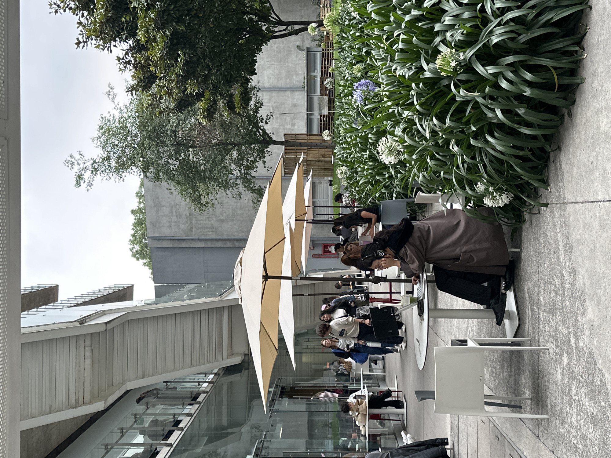 Evening study session at Mexico City outdoor campus area