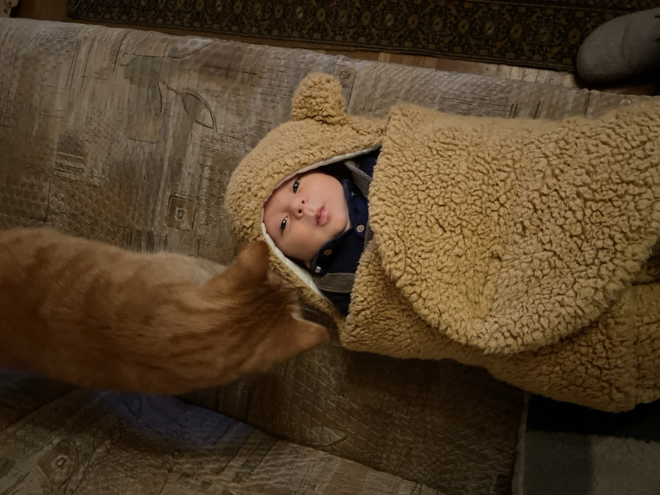 Quiet baby care moments documented in Wüstenrot home