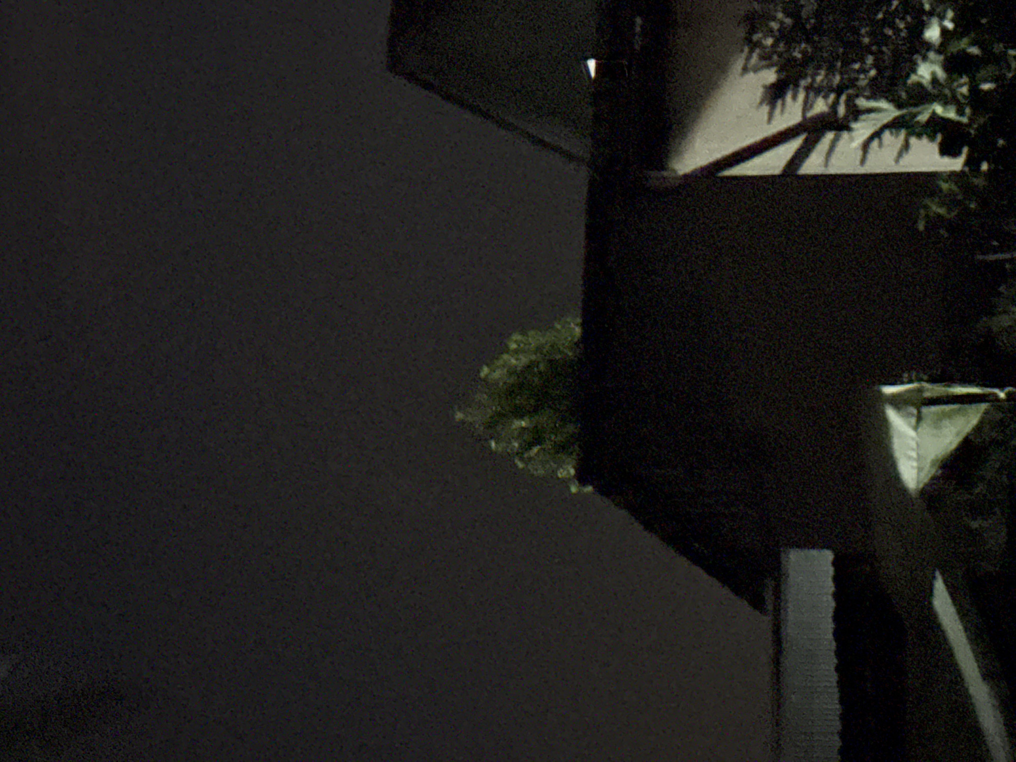 Nightfall in a Vostok garden, moon up and shadows deep