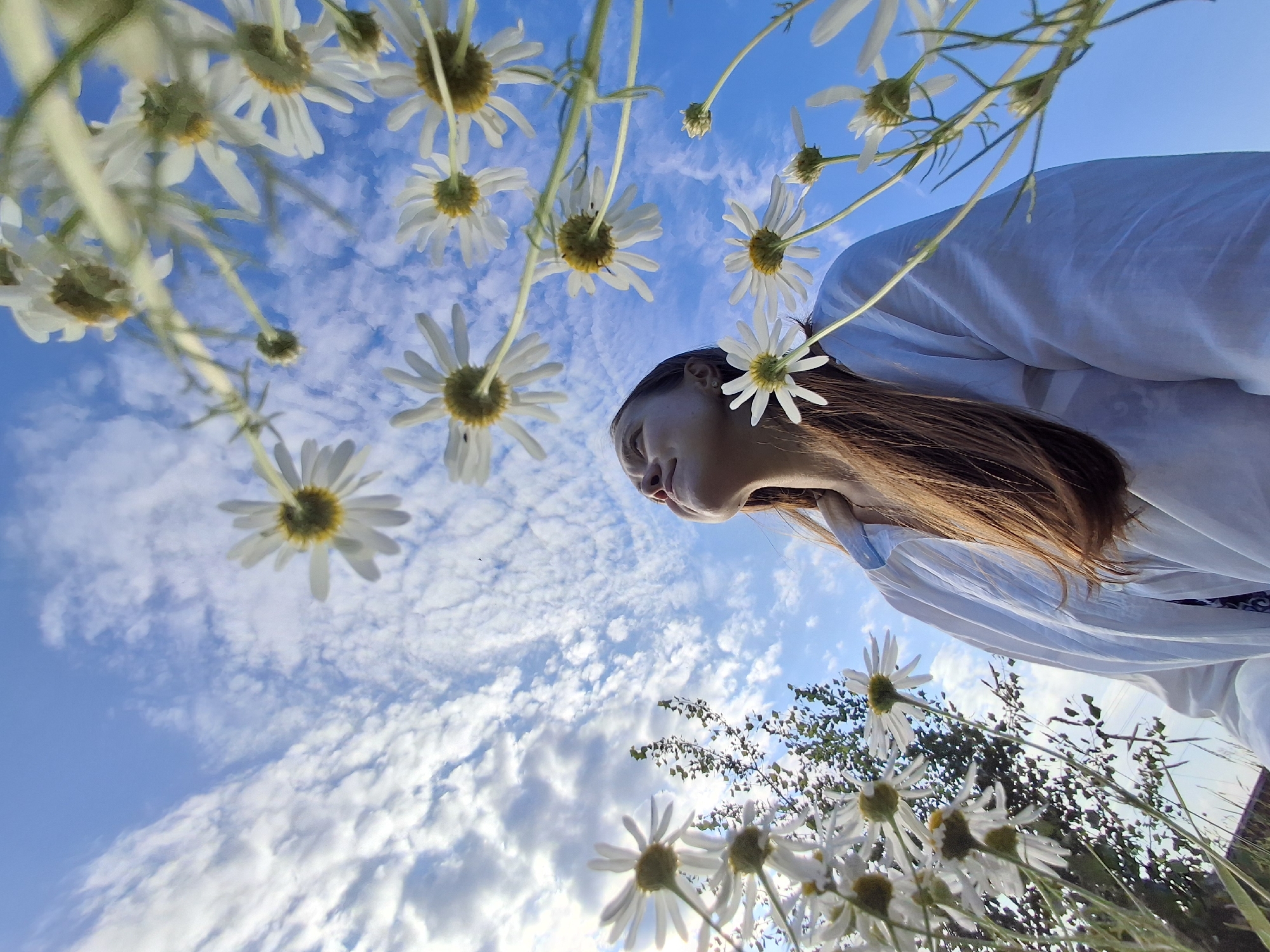 Wildflowers and summer skies in a Chaikovsky field
