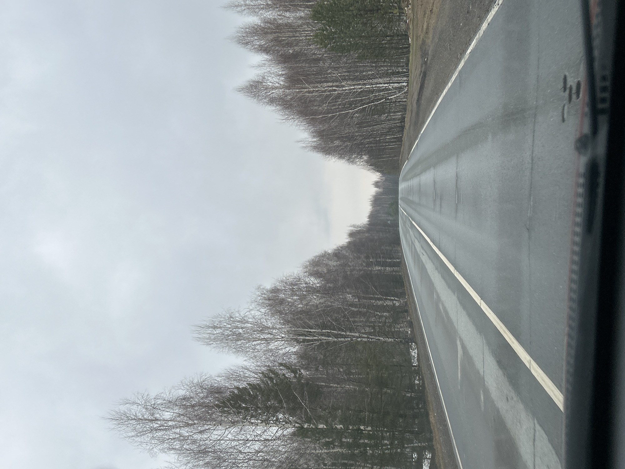 Vehicle travels wet road through bare trees near Zhigalki