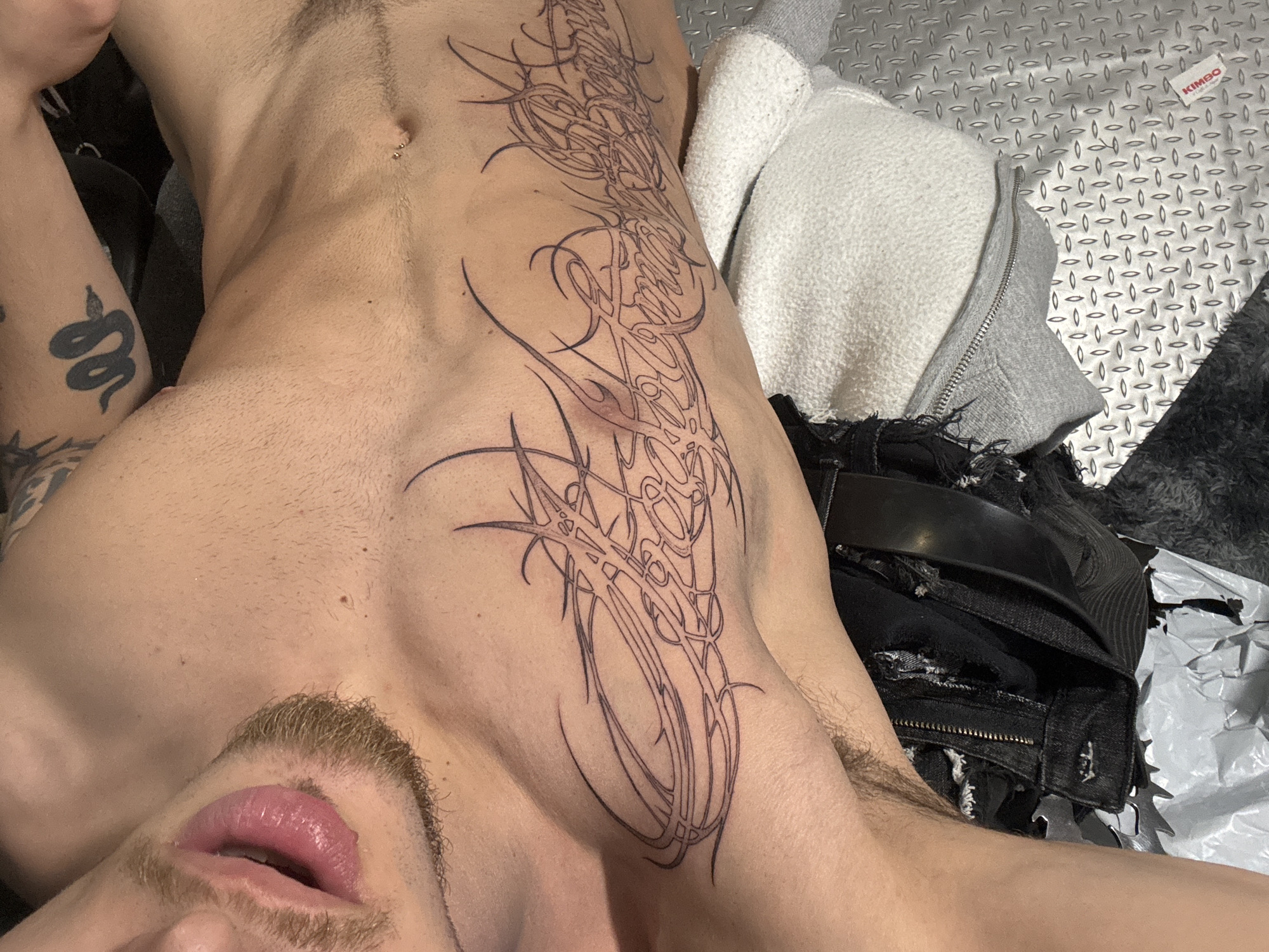 Tattooed person observed on metallic surface in Sofia