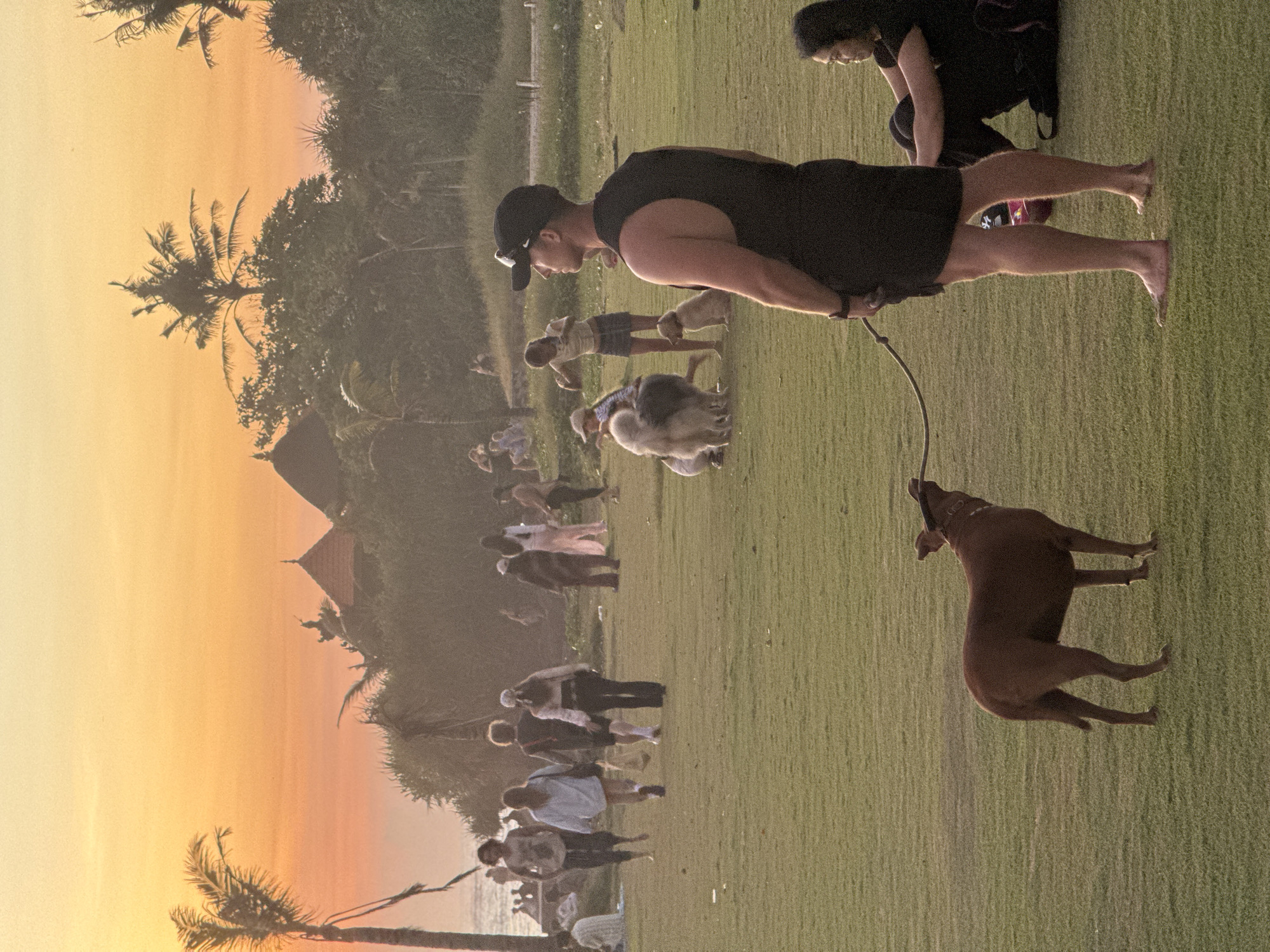 Sunset documented in Mengwi, Indonesia outdoor scene