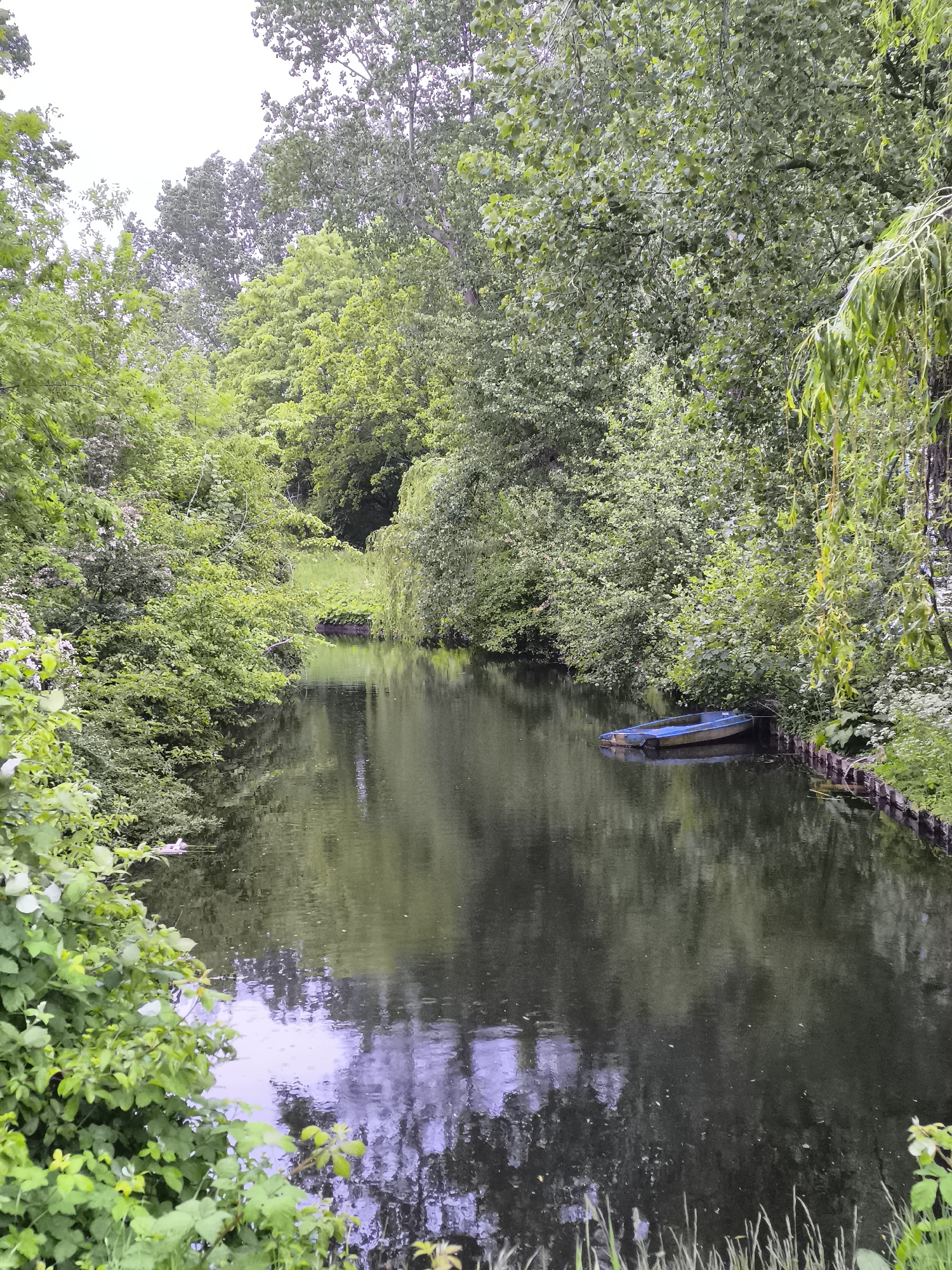Peaceful canal moment captured in Alkmaar, Netherlands