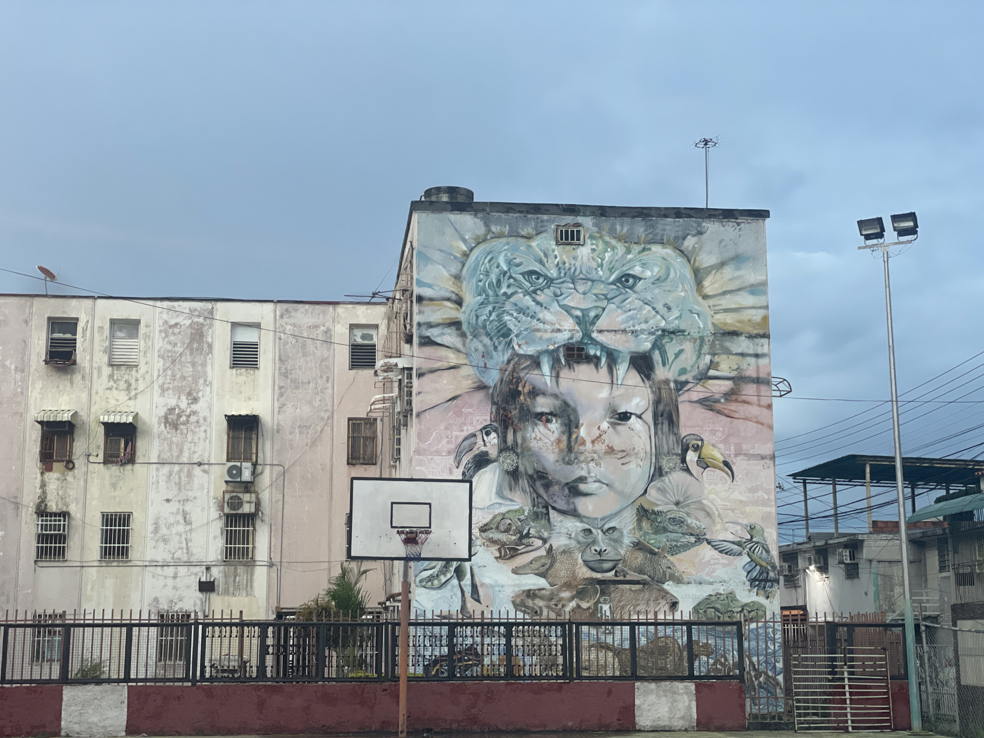 Street murals and urban surfaces in Maracay, Venezuela