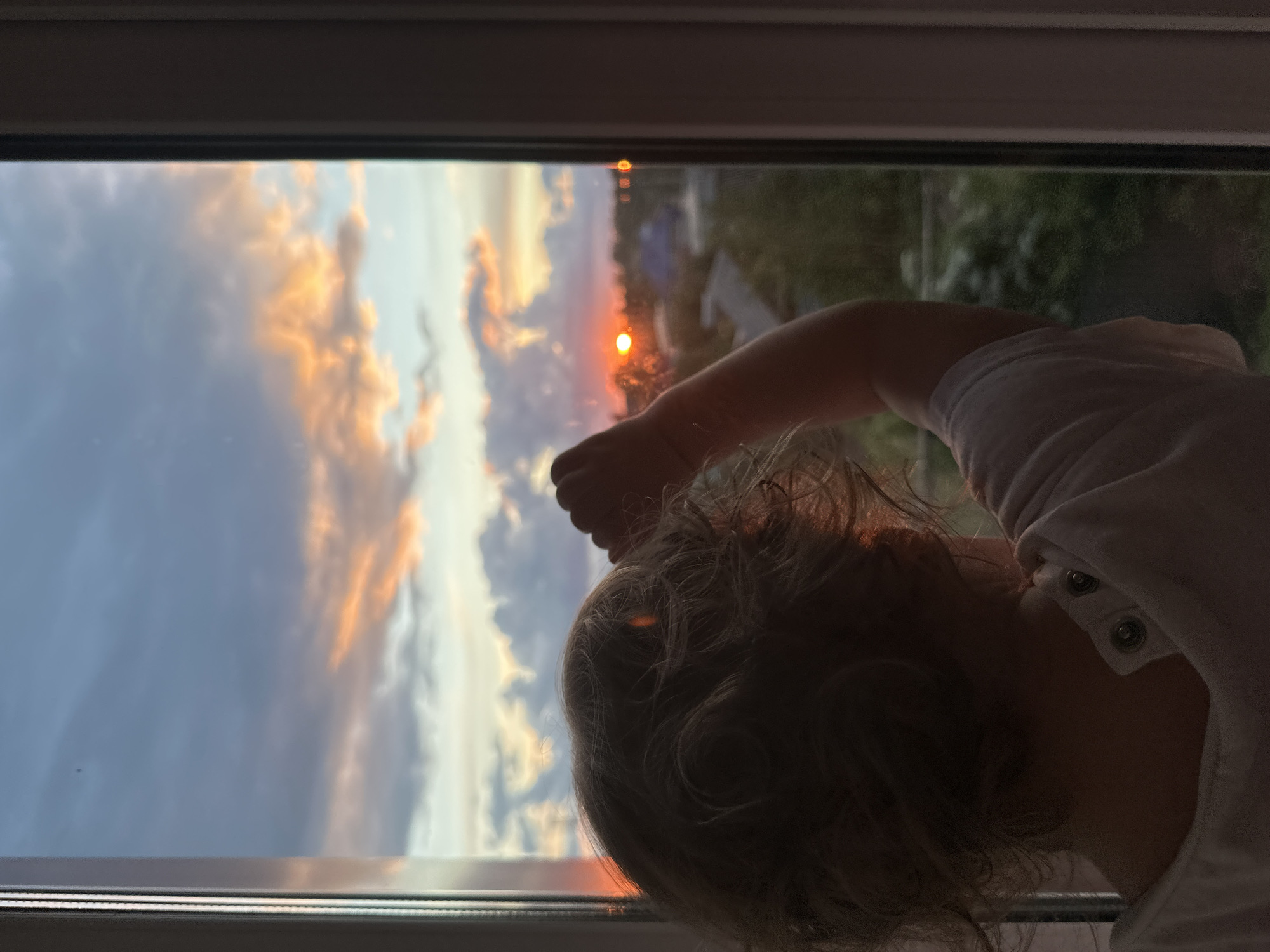 Dramatic sunset draws observers and pets to windows across neighborhood