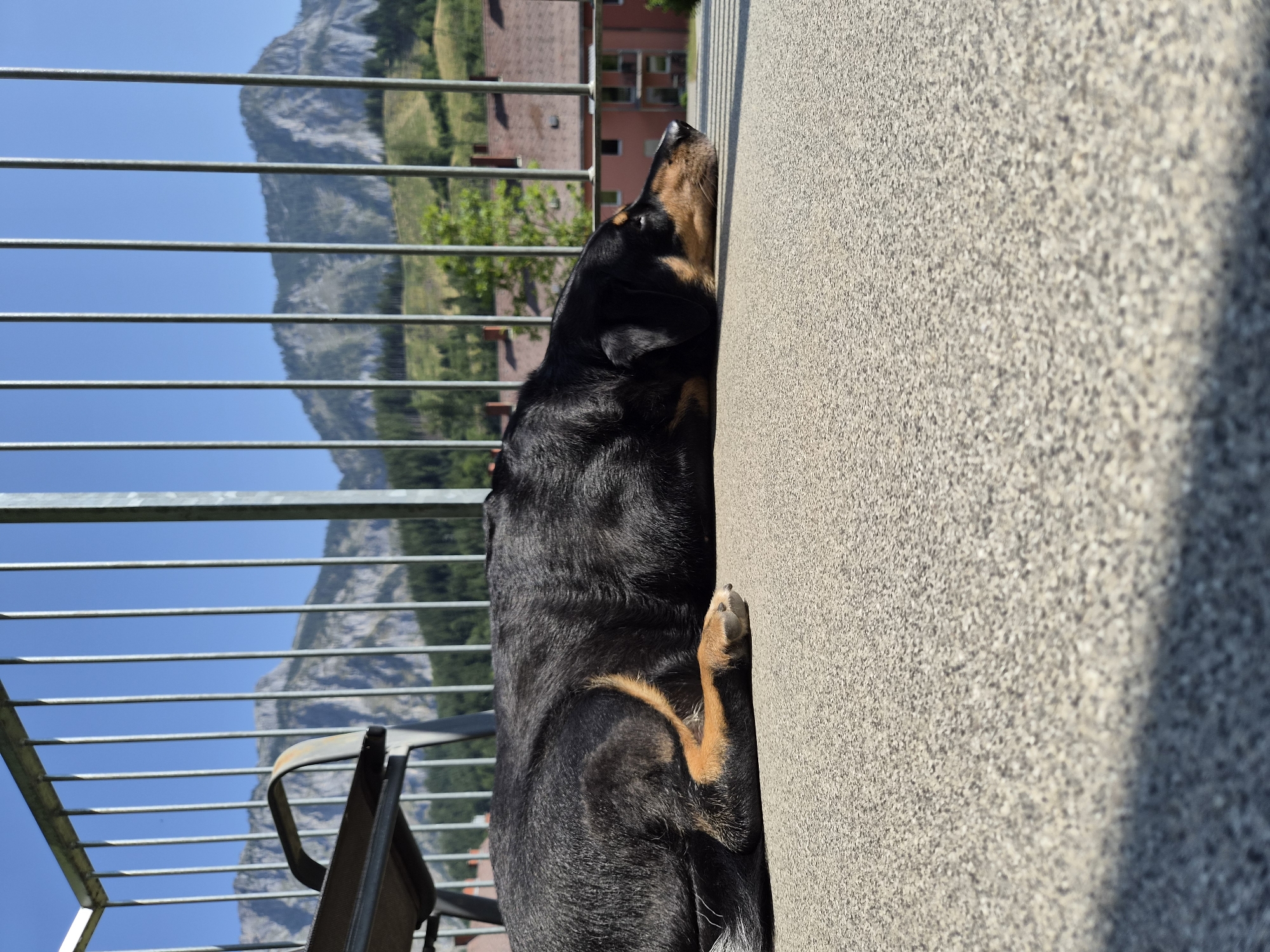 Rottweiler dozes on a sunny Eisenerz balcony amid quiet streets