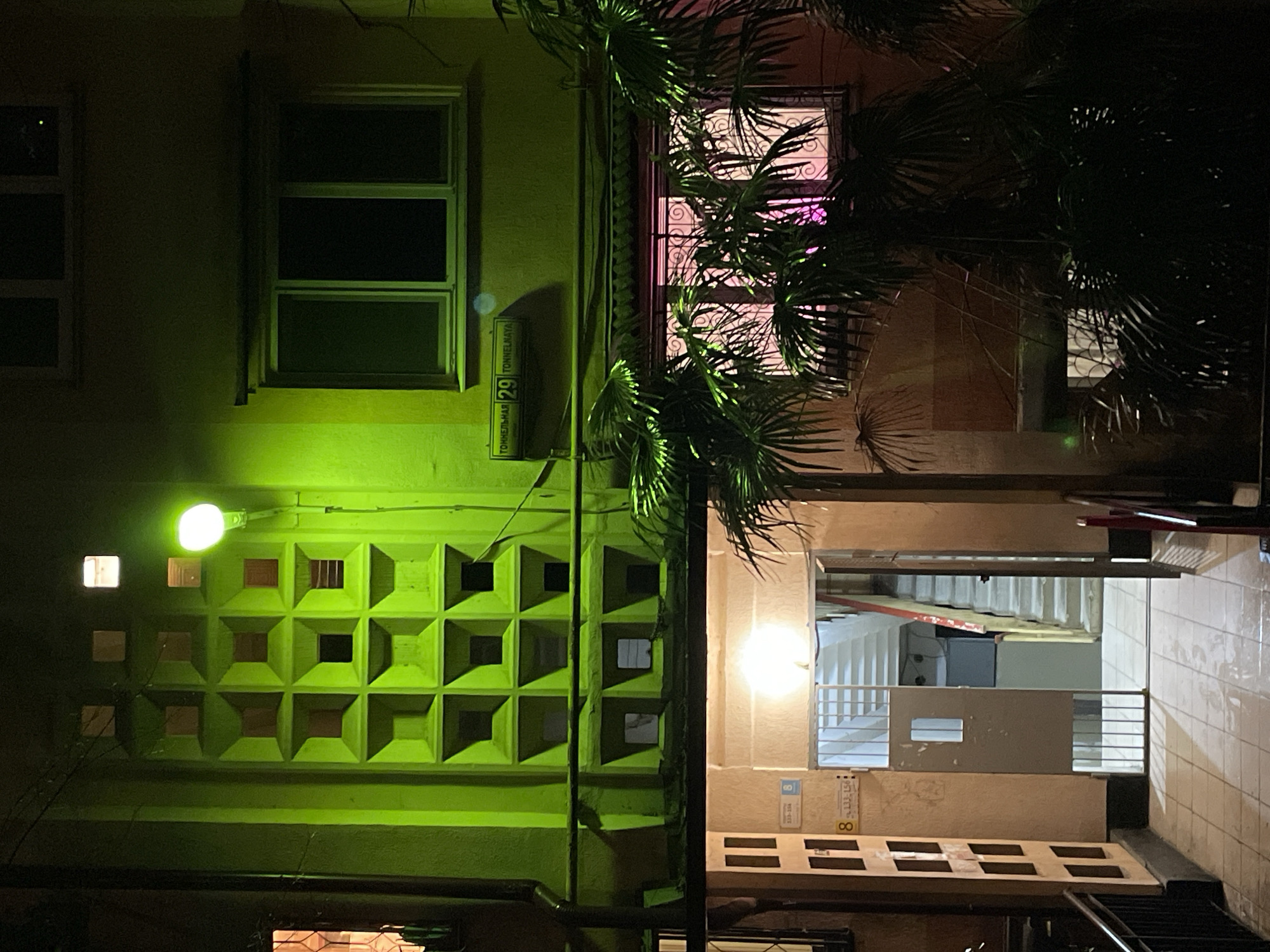 Nighttime urban walk through Sochi captures buildings, cat, market