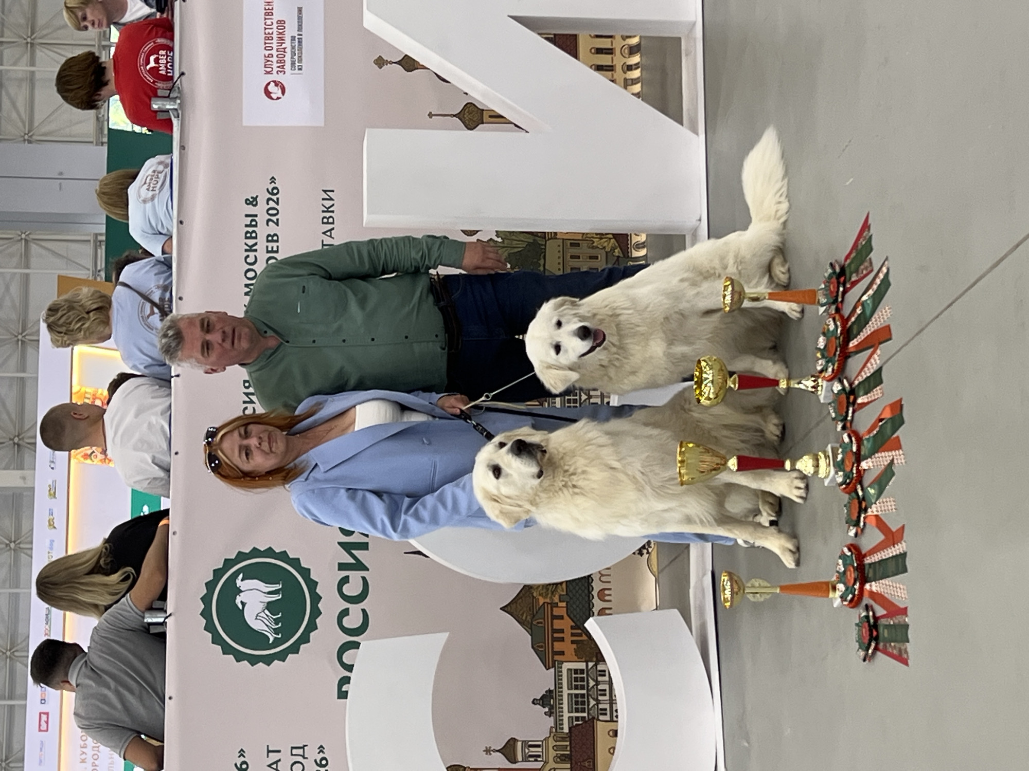 Dog show in full swing near Moscow's Zelenaya Roshcha