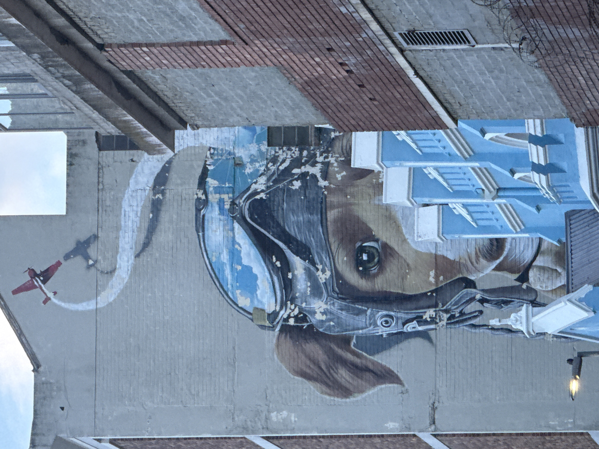 Cape Town dining district captured in restaurant interiors and street art