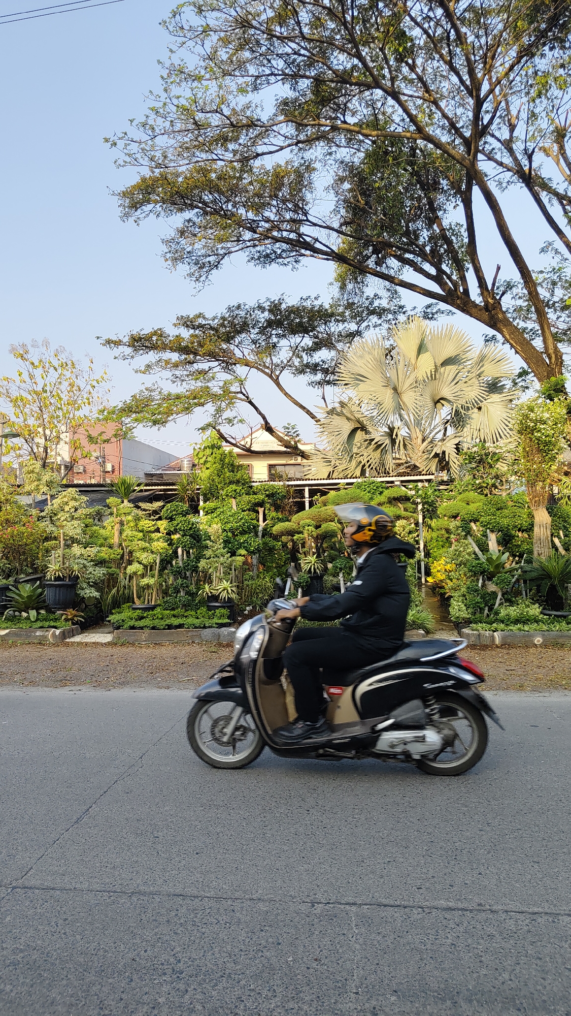 Roadside plant nursery and street traffic in Bekasi