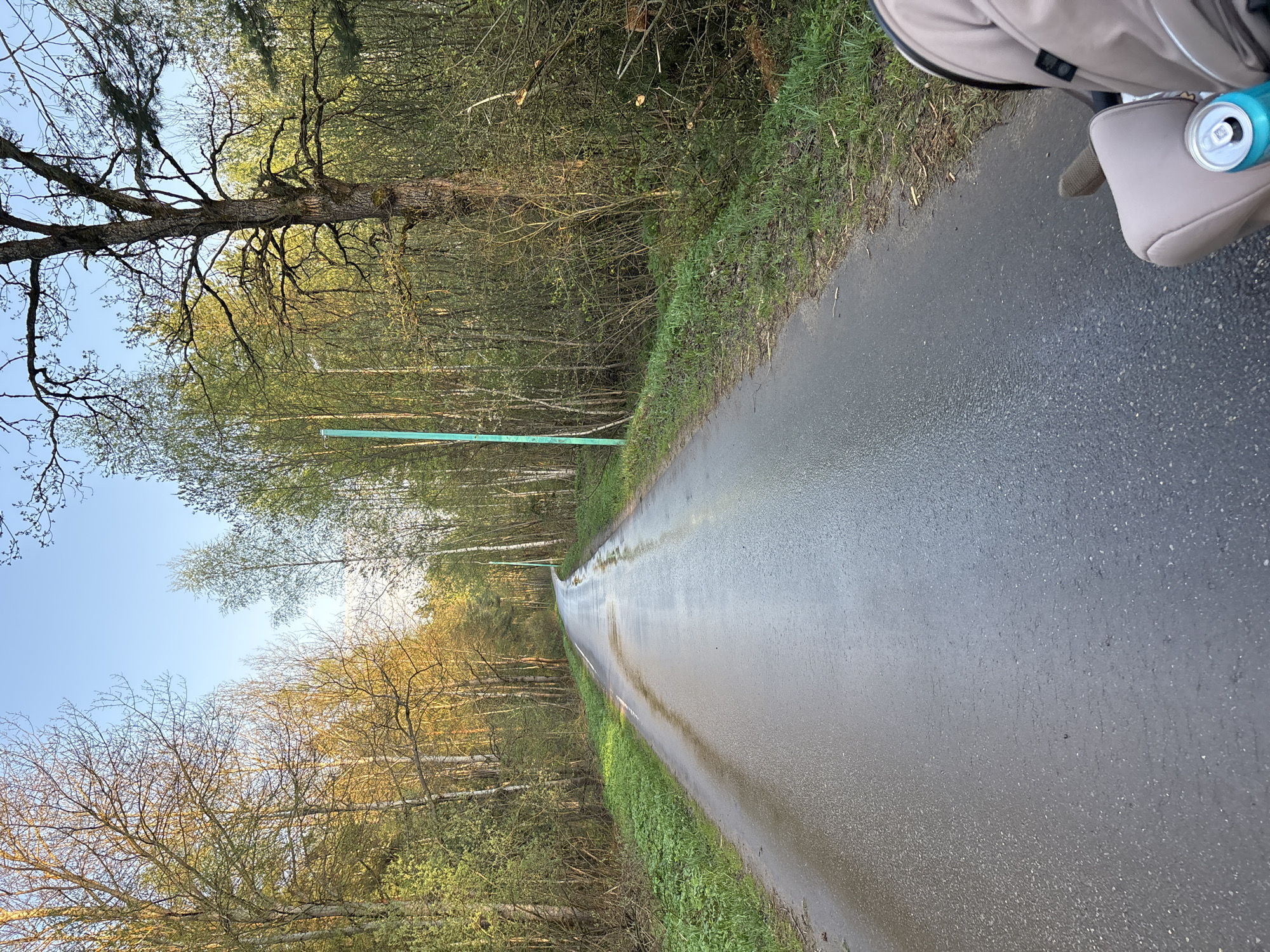 Woman documents rural Russian village scenes during afternoon walk