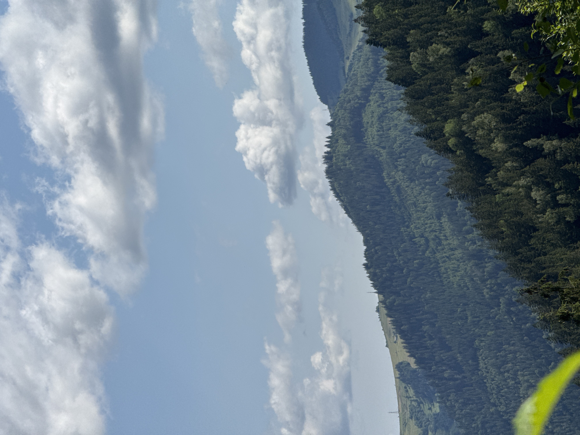 Carpathian forest and mountain scenery around Kryvorivnia, Ukraine
