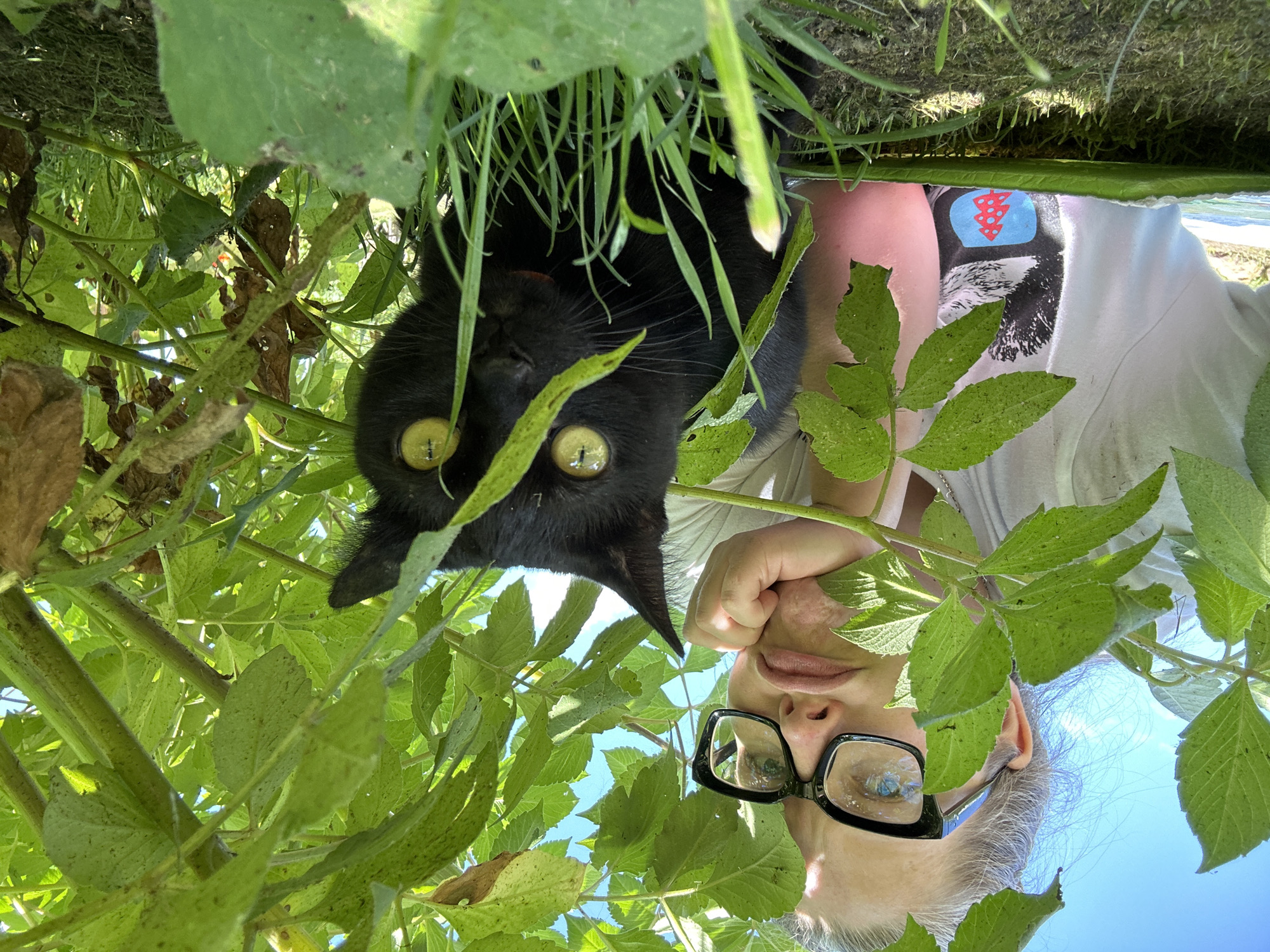 Summer backyard morning with a baby, a cat, and a garden.