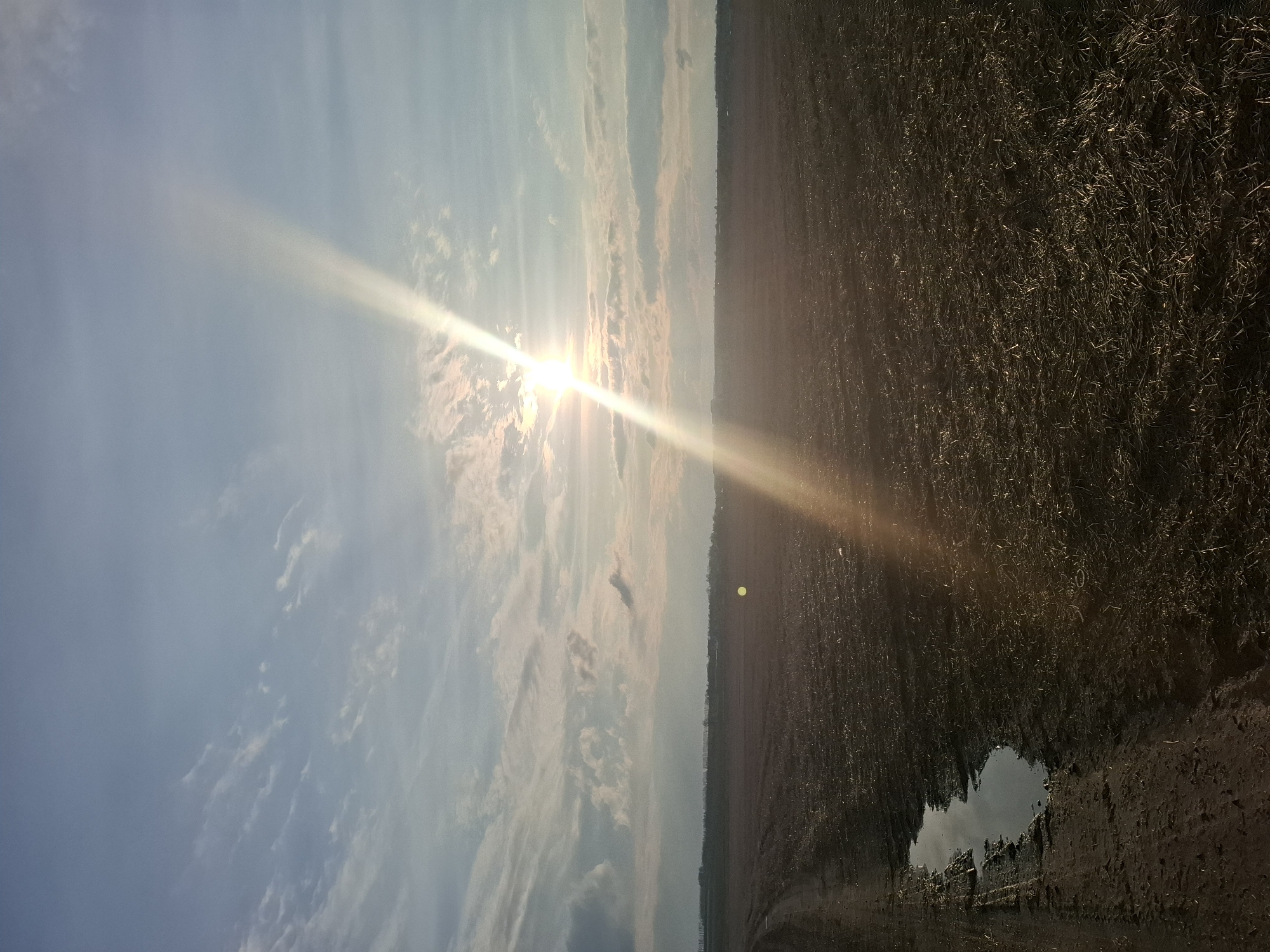 Person in headphones observed in rural Khlevnoye field at sunset