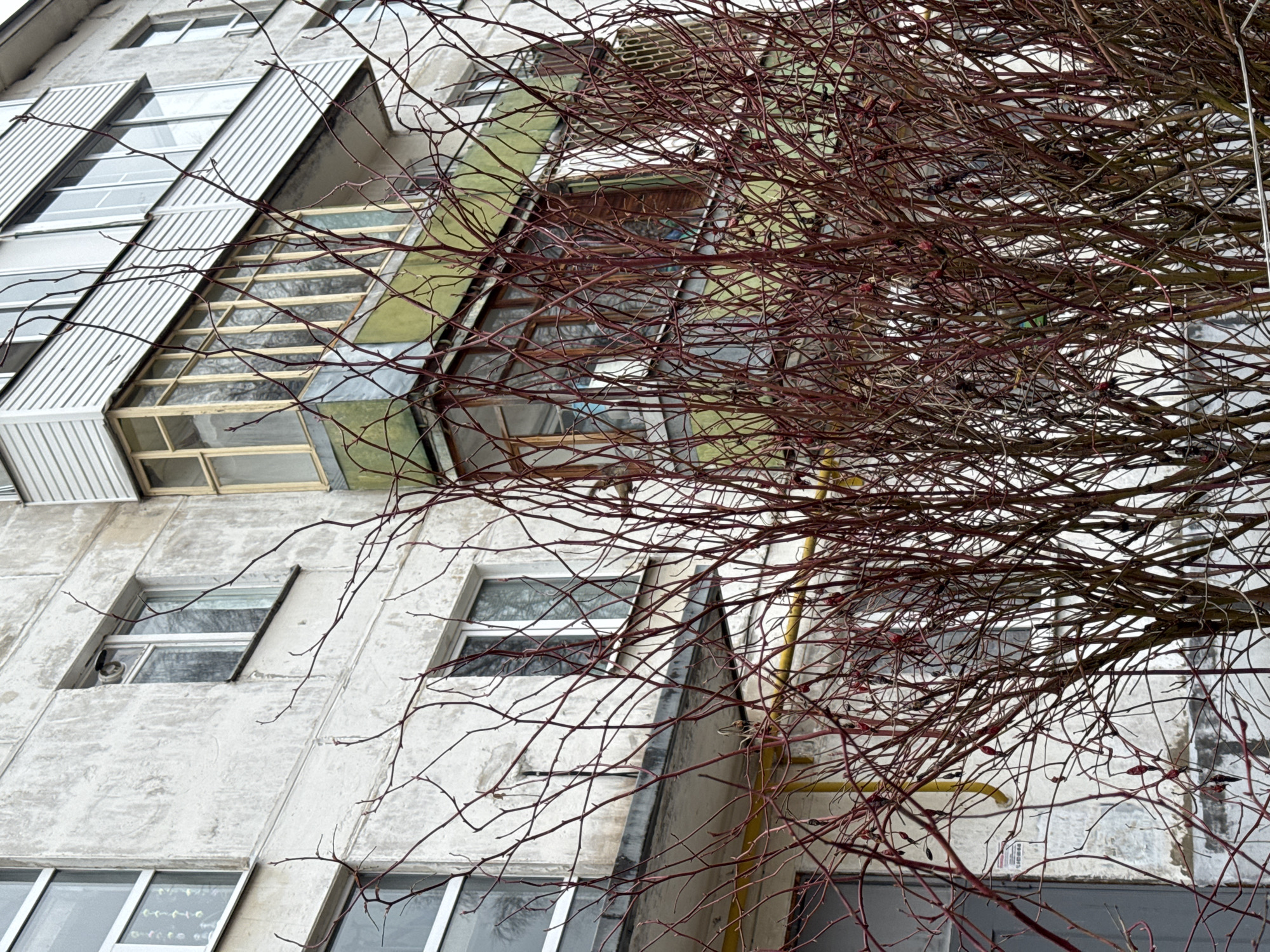 Residential building photographed through bare branches in Izhevsk
