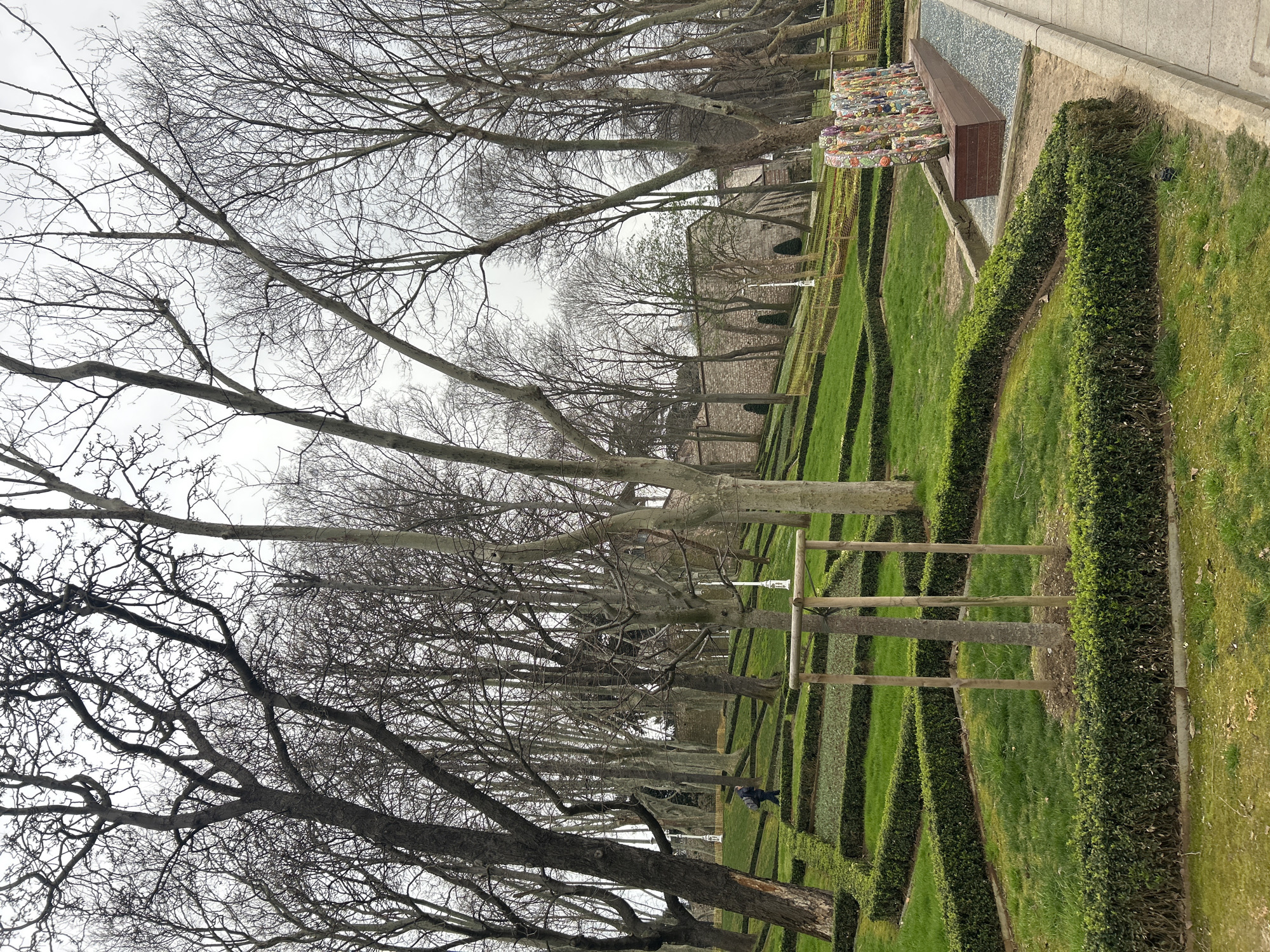 Spring tulips and distinctive cat captured at Istanbul's Gülhane Park