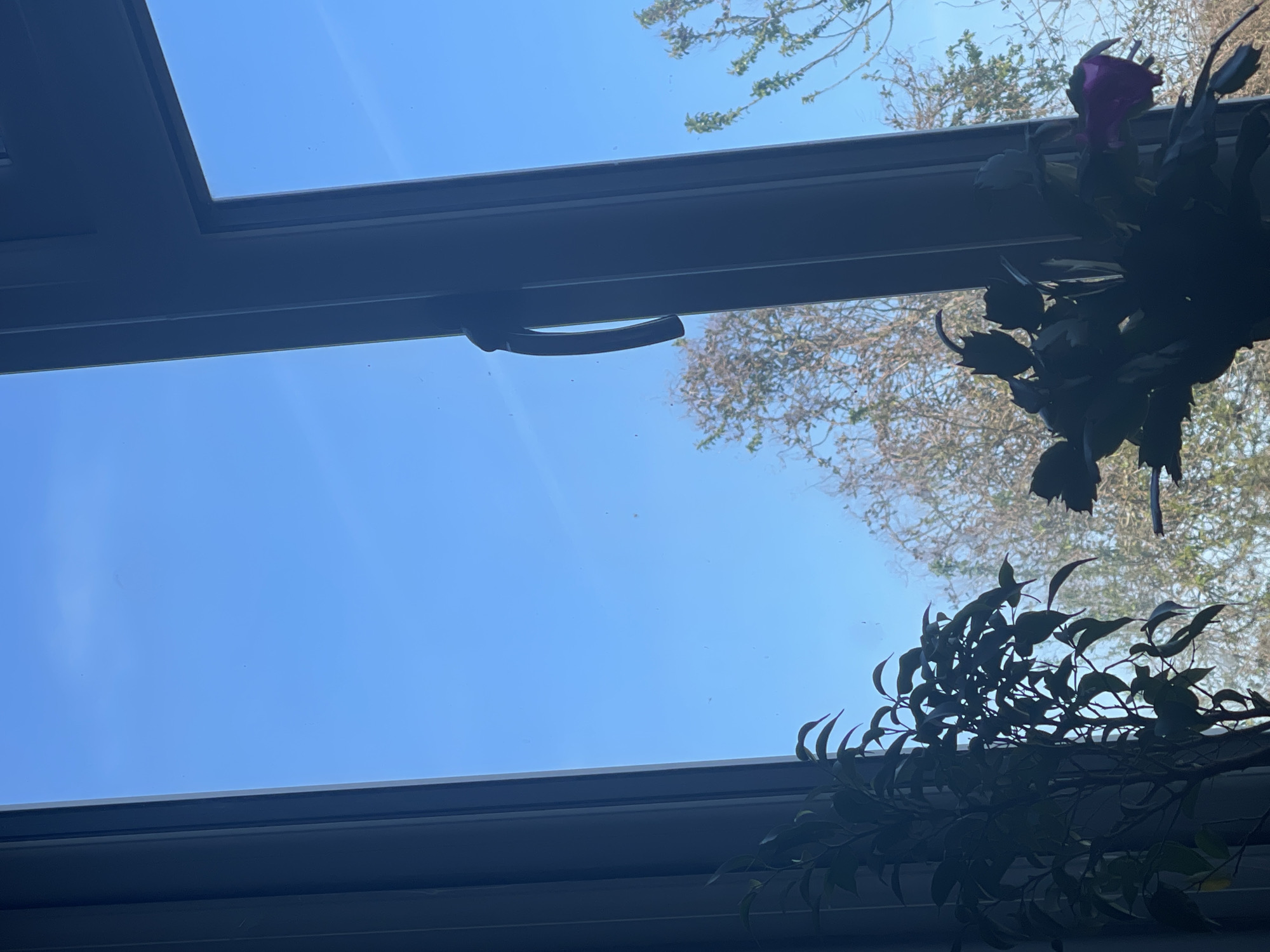 Quiet Monday afternoon moments captured in Maidstone homes