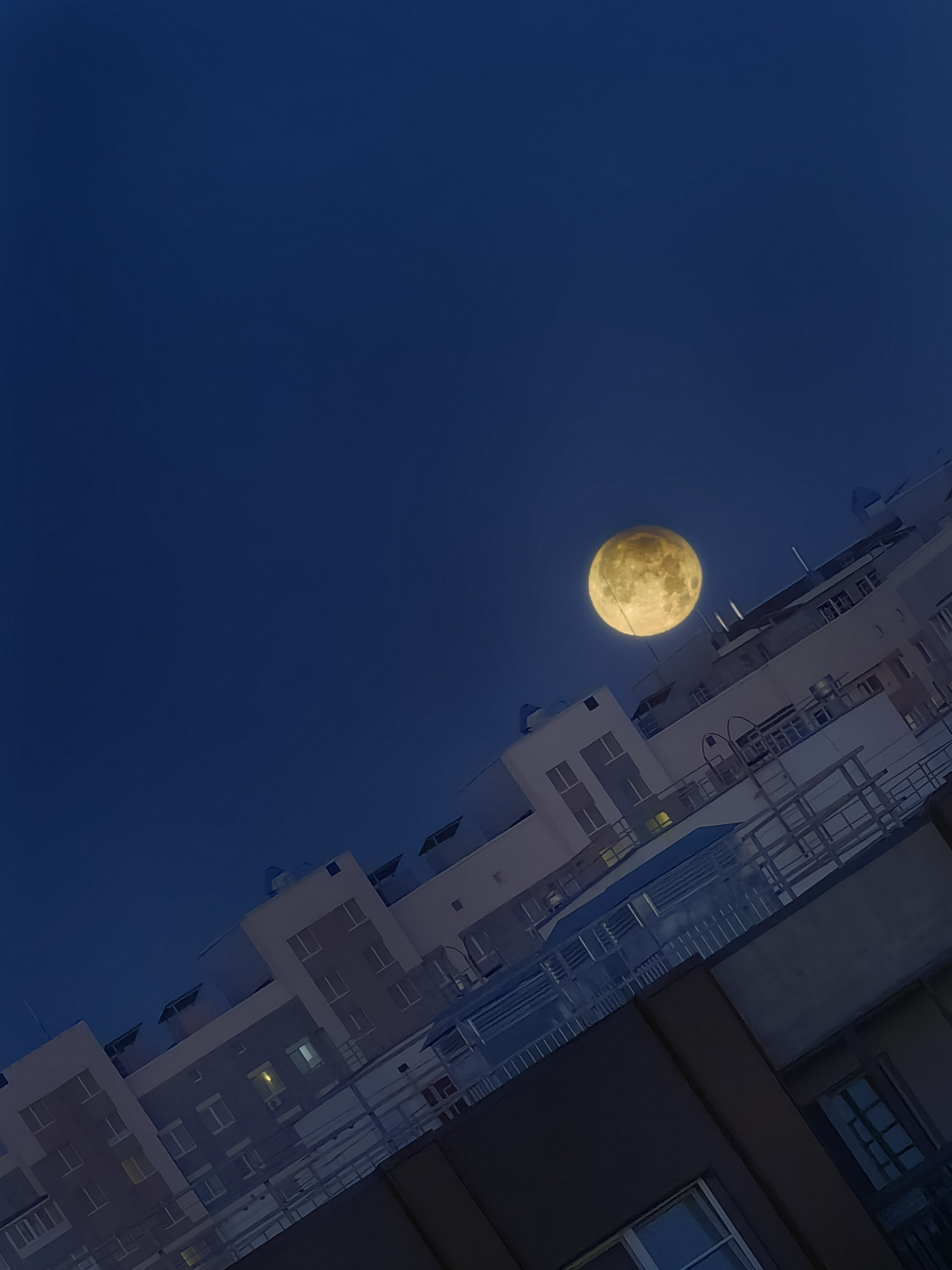 Sun, moon, and stars across city and forest skies