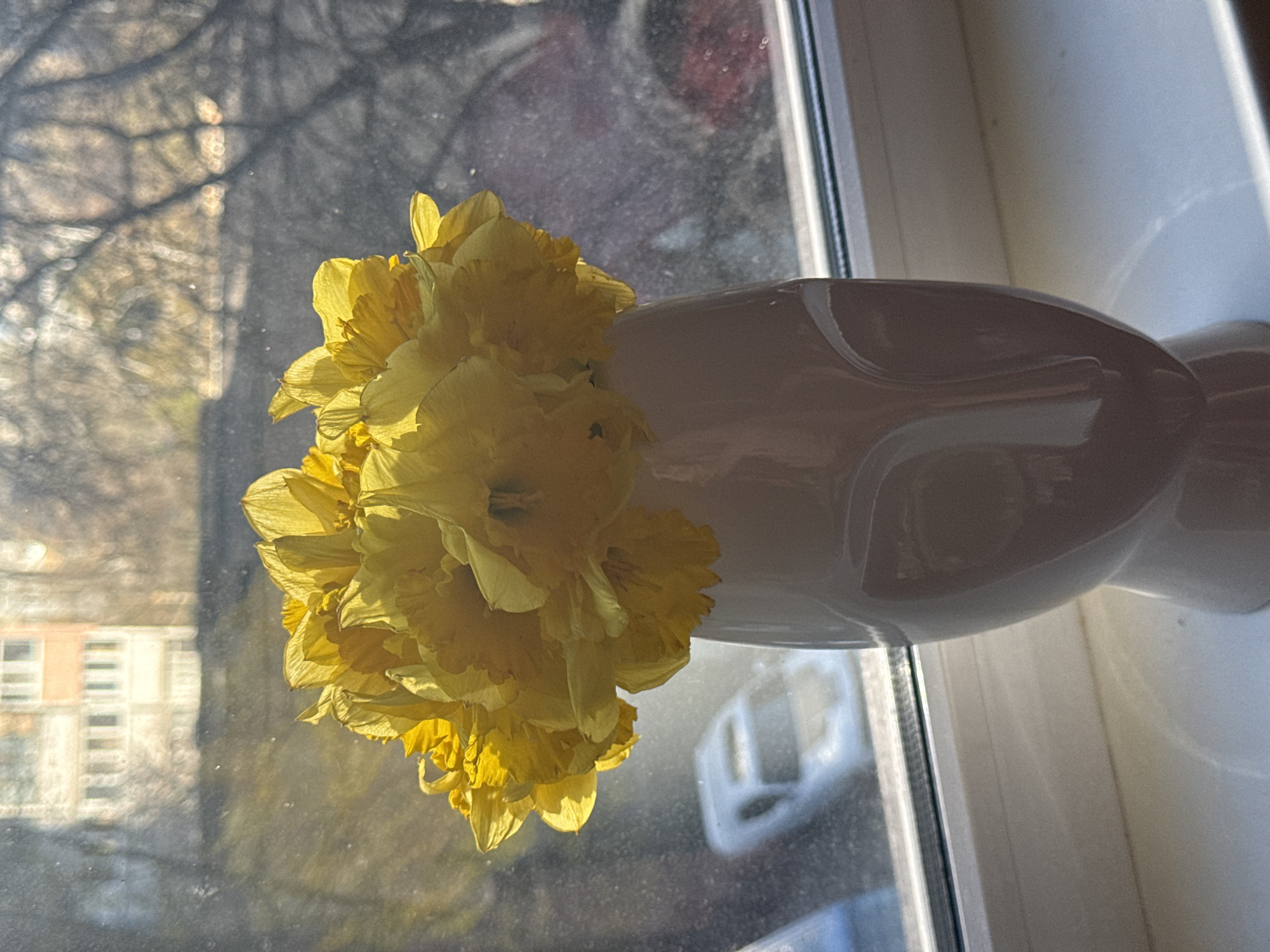 Morning domestic scene with flowers and medications in Kyiv