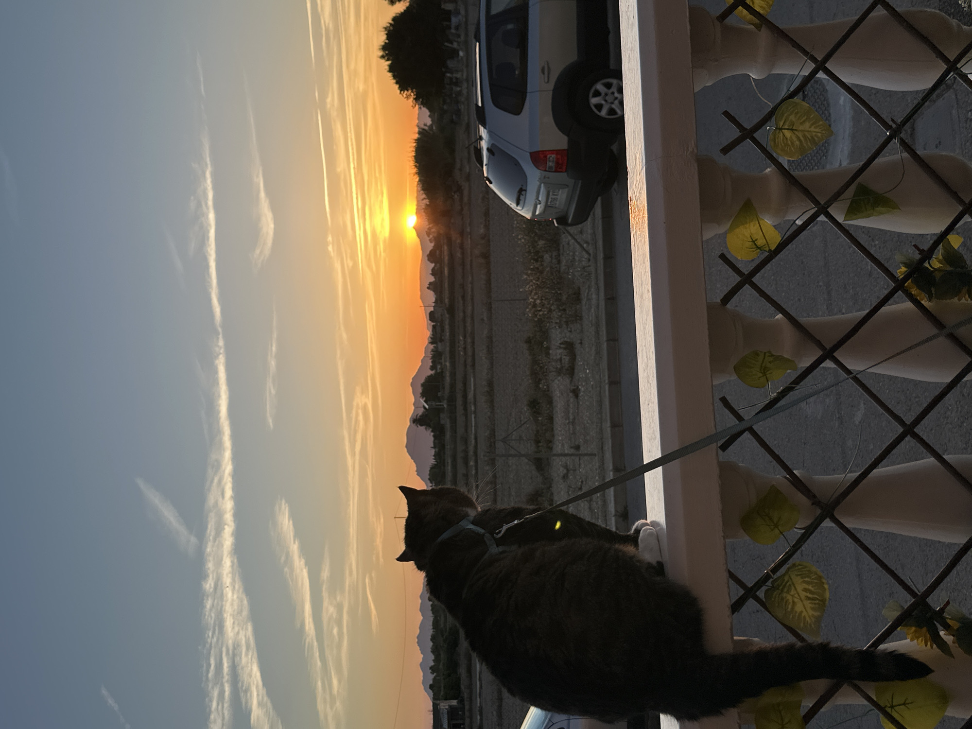Evening domestic scenes captured in Los Palacios, Spain