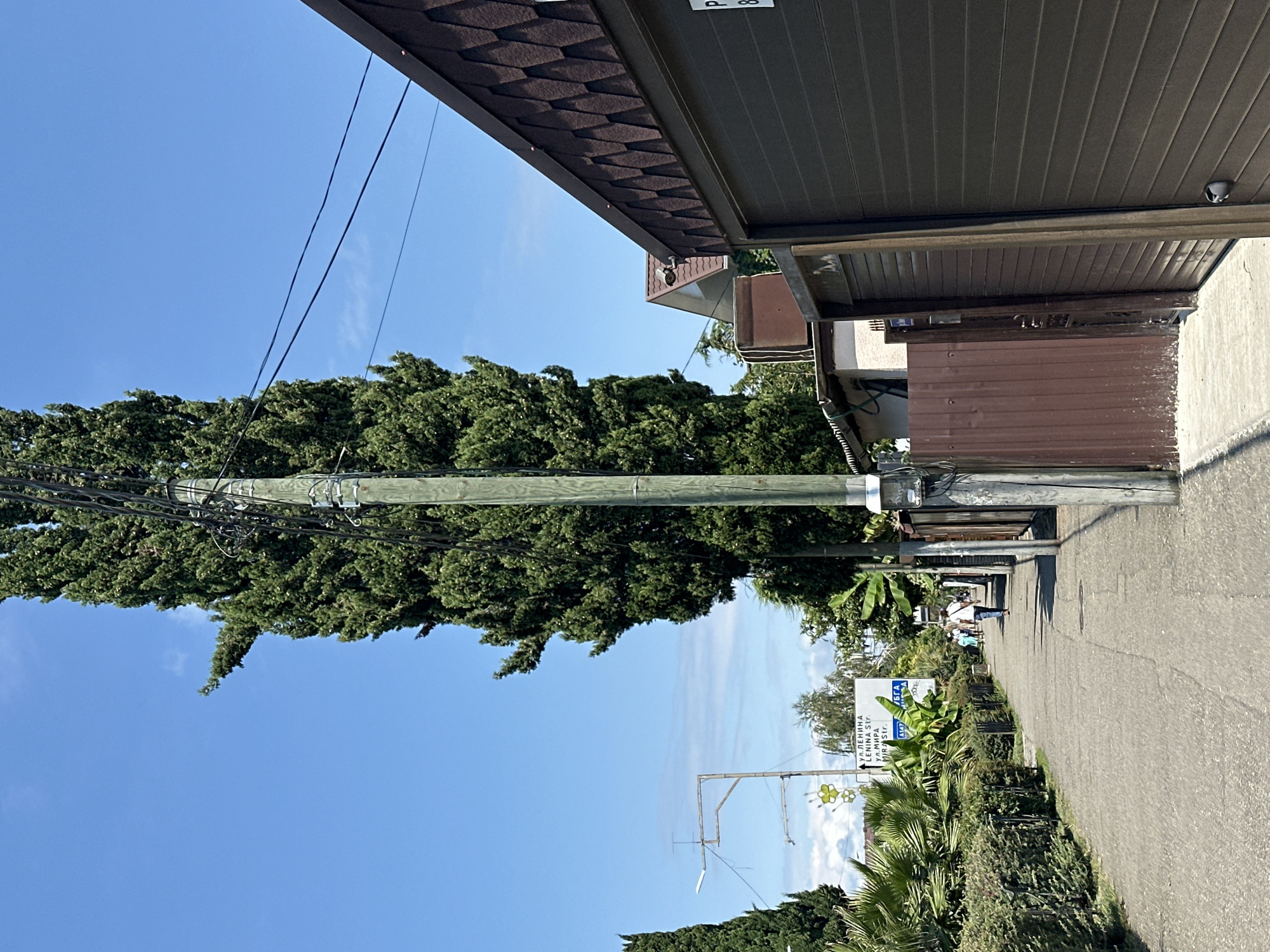 Sunny street-level tour through Sochi's palm-lined resort neighborhoods