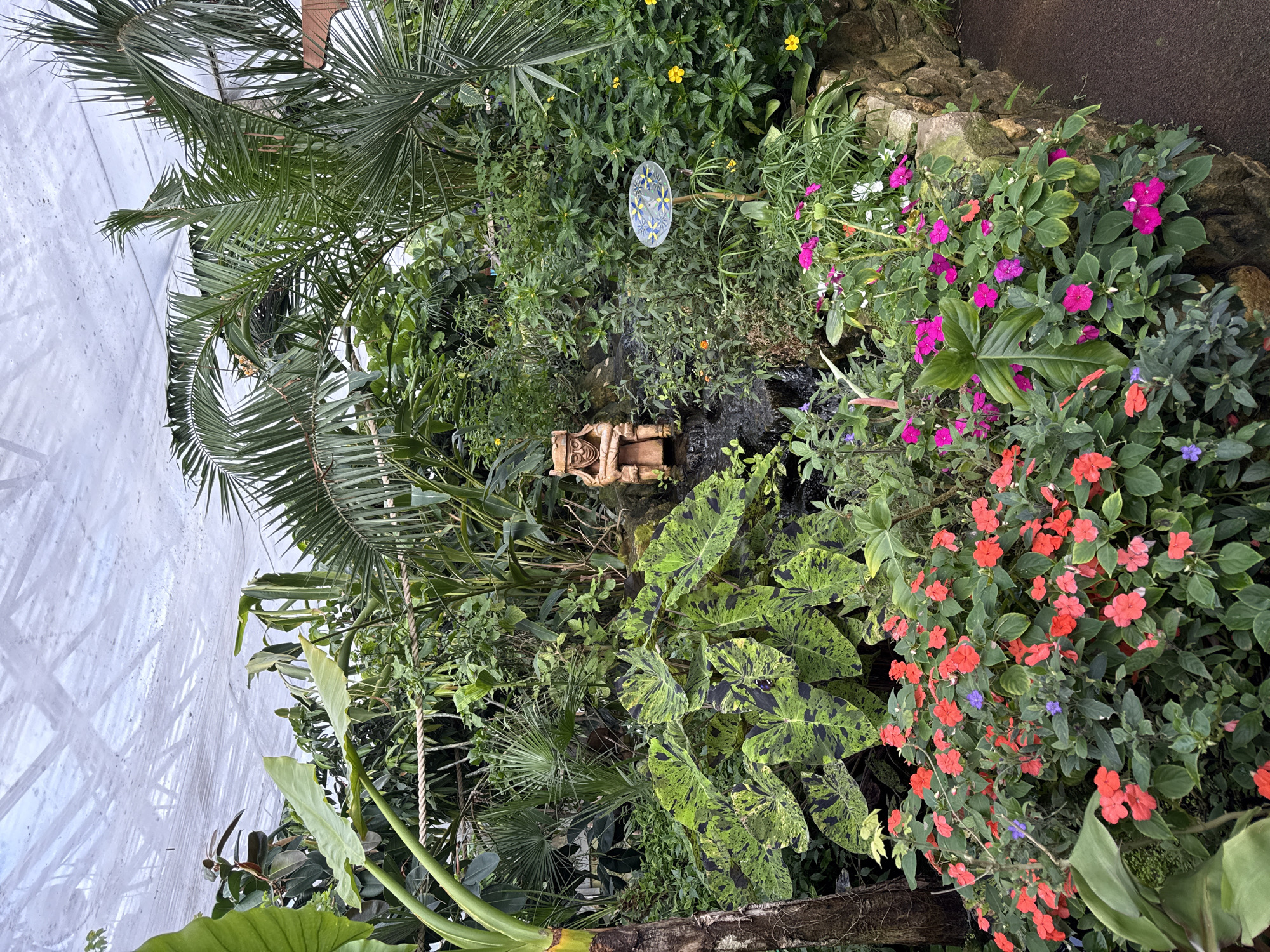 Visitor documents butterflies, plants during Stratford greenhouse morning visit