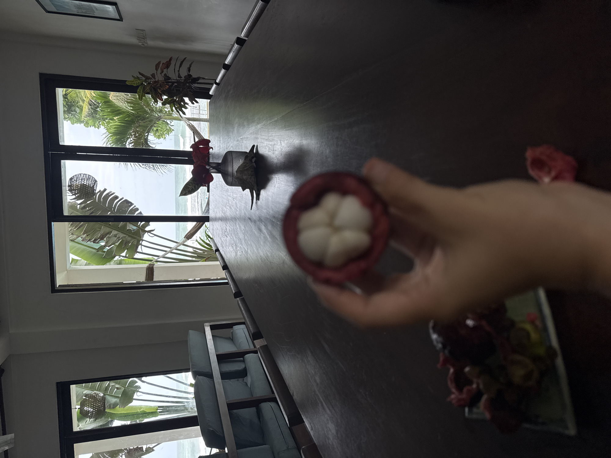 Mangosteens at a Sri Lankan beachside property