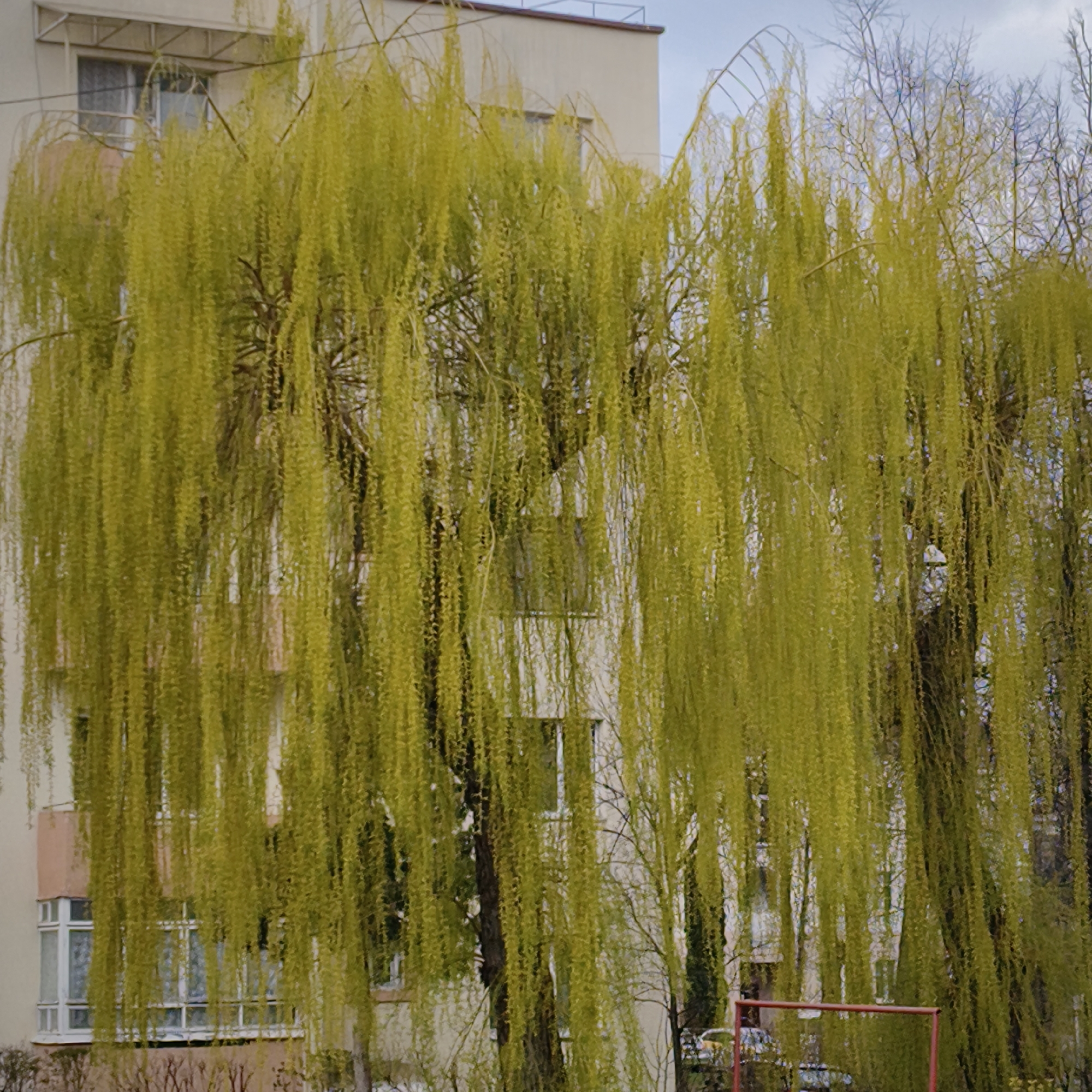 Easter Sunday scenes documented across Hrodna, Belarus neighborhoods