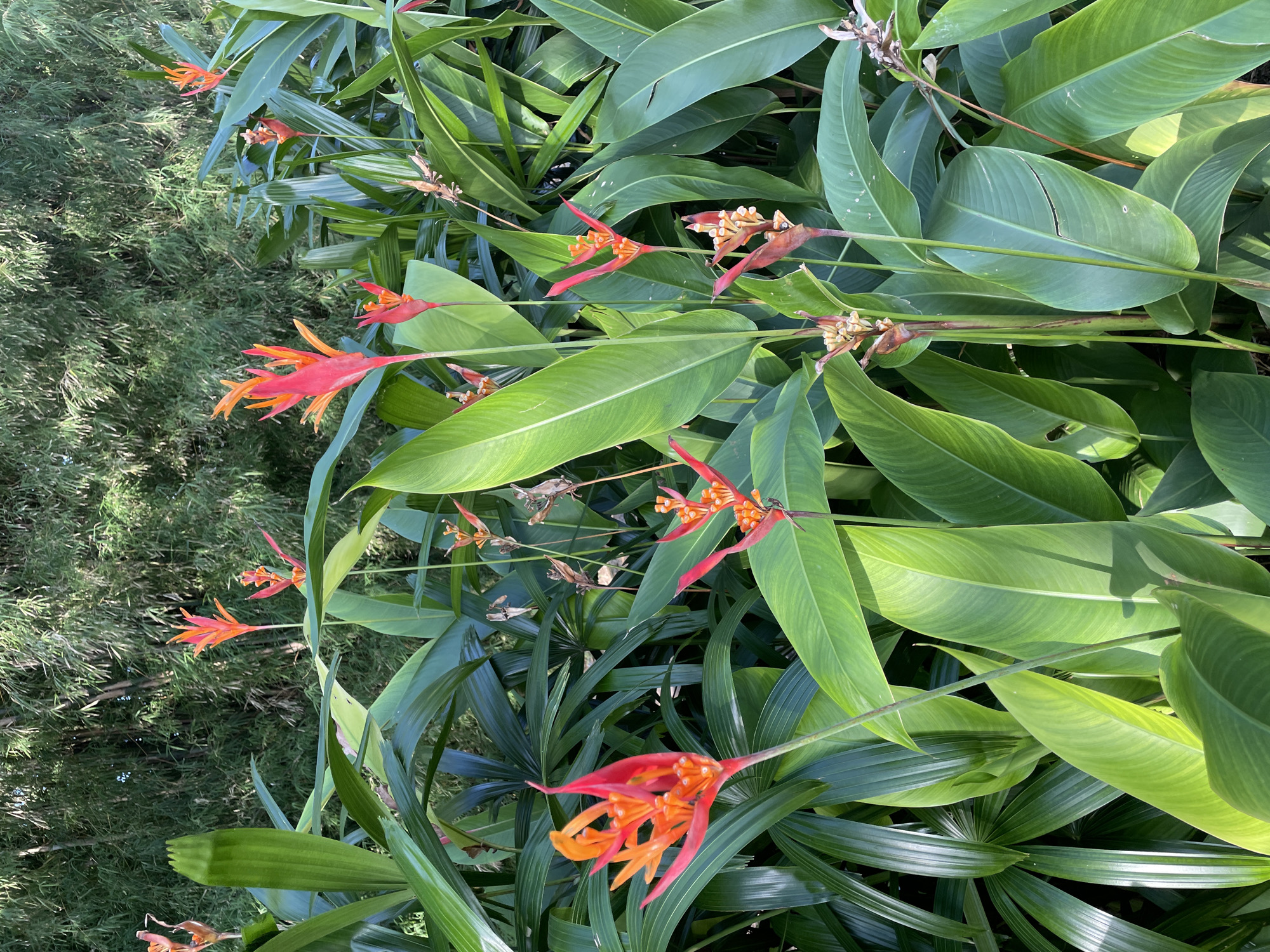 Morning scenes of tropical gardens and bronze statues in Kuta Selatan
