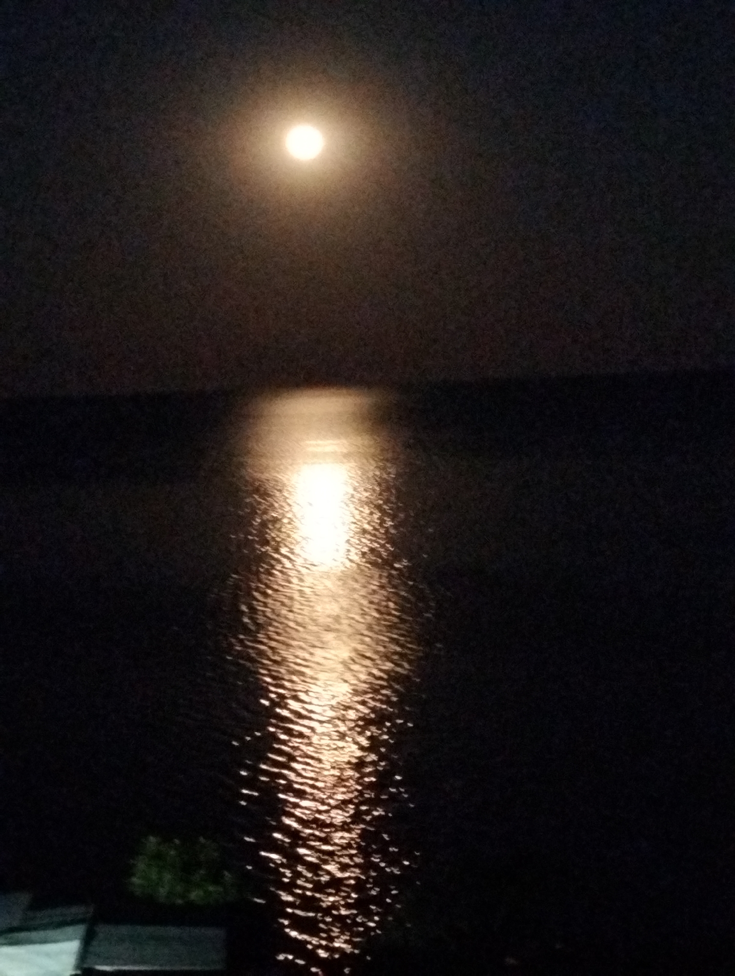Full moon reflects over Odesa's waterfront at night